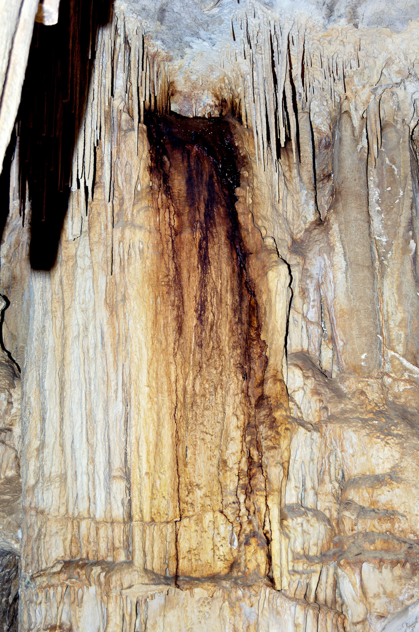 CA_20050614_0108_PS.dng