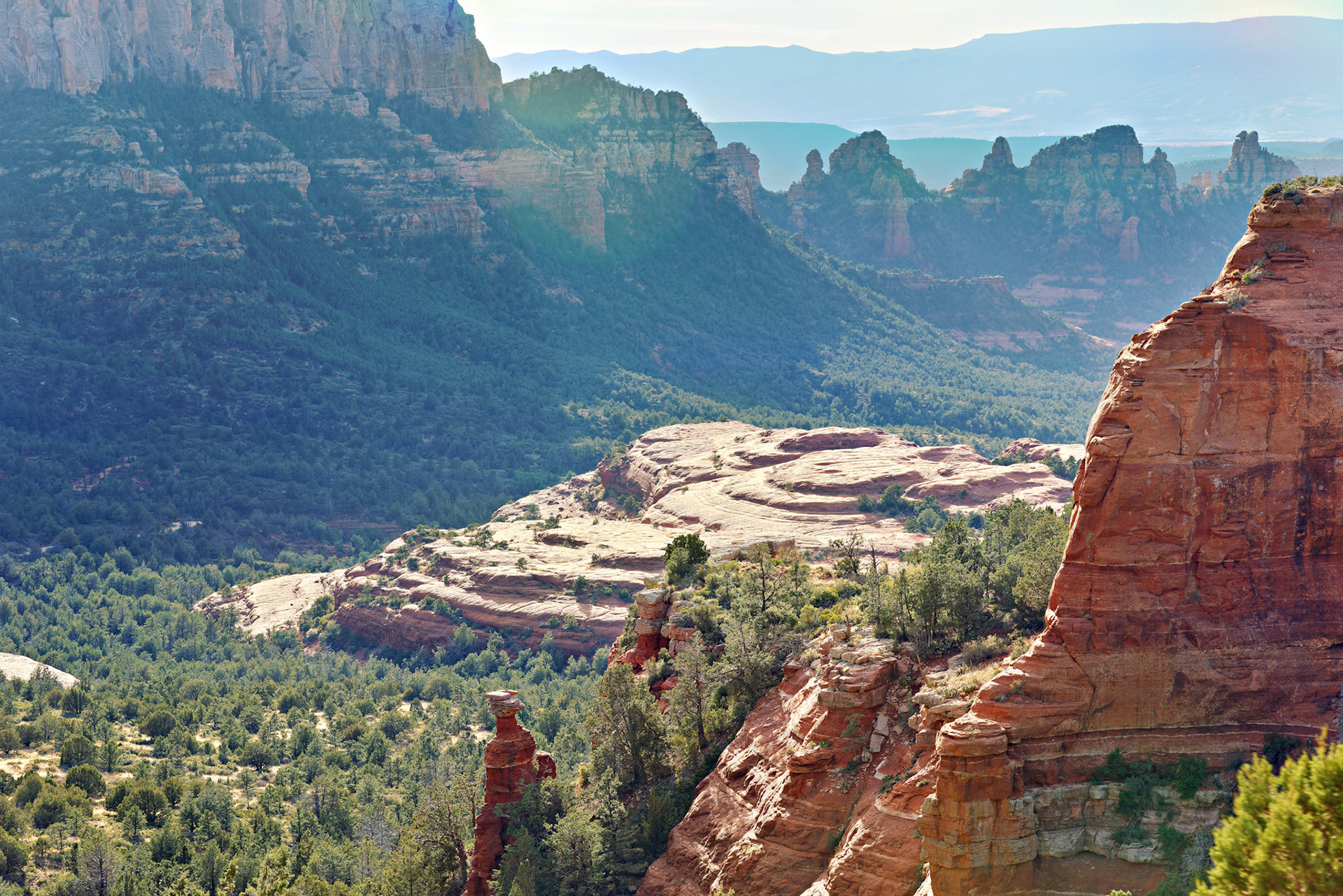 AZ_20121211_0551_PS.dng