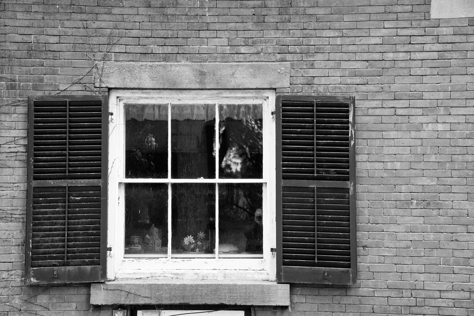 Black &amp; White 00133