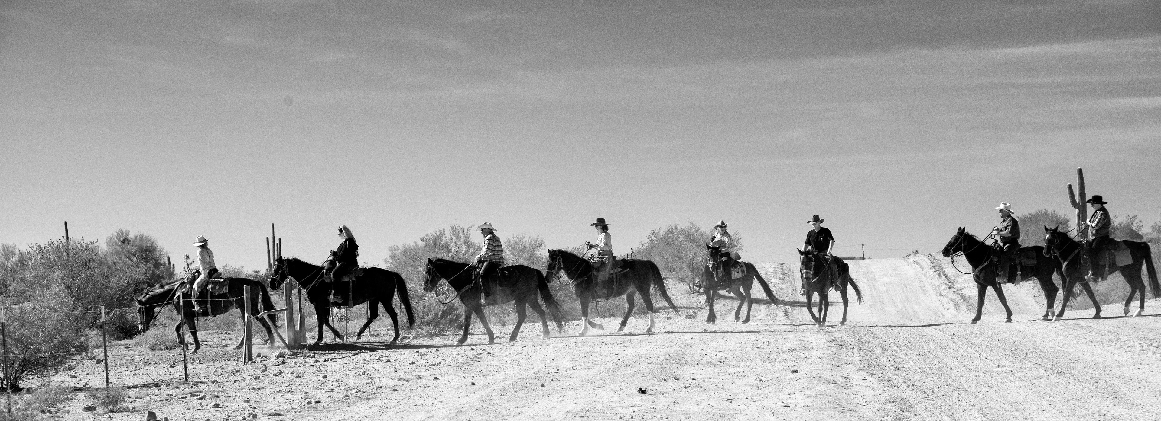 Black &amp; White 00181