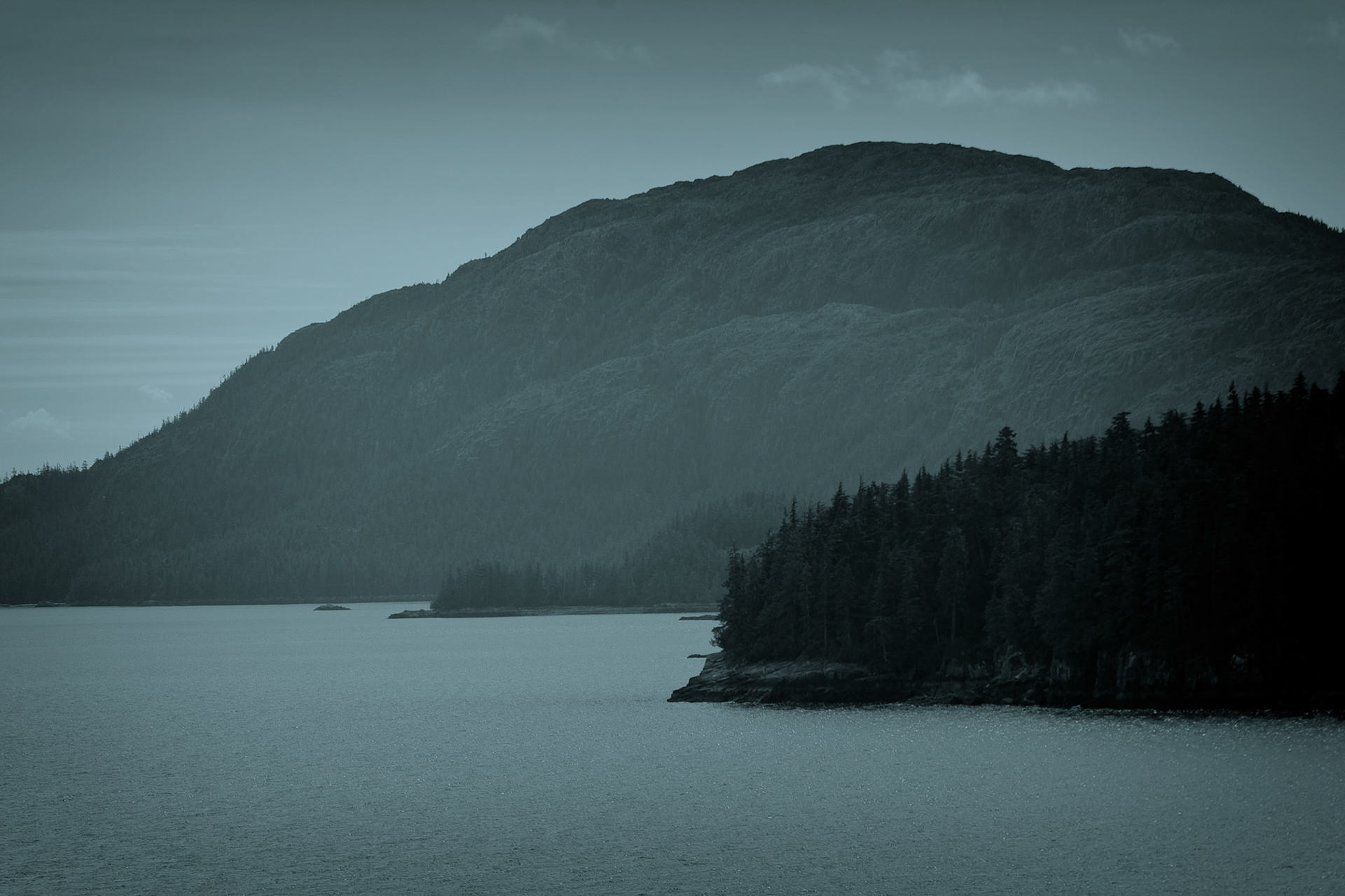 Black &amp; White Photos