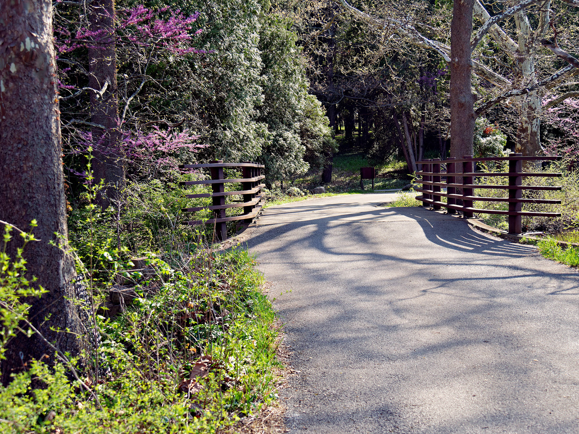 IL_Morton Arboretum_20180507_0825_PS.tif