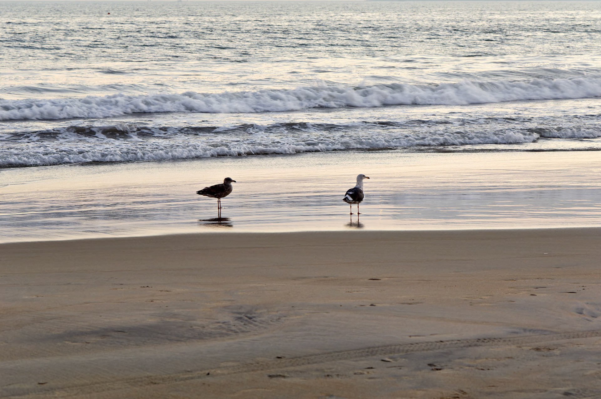 CA_SanDiego_20050729_0123_PS.dng