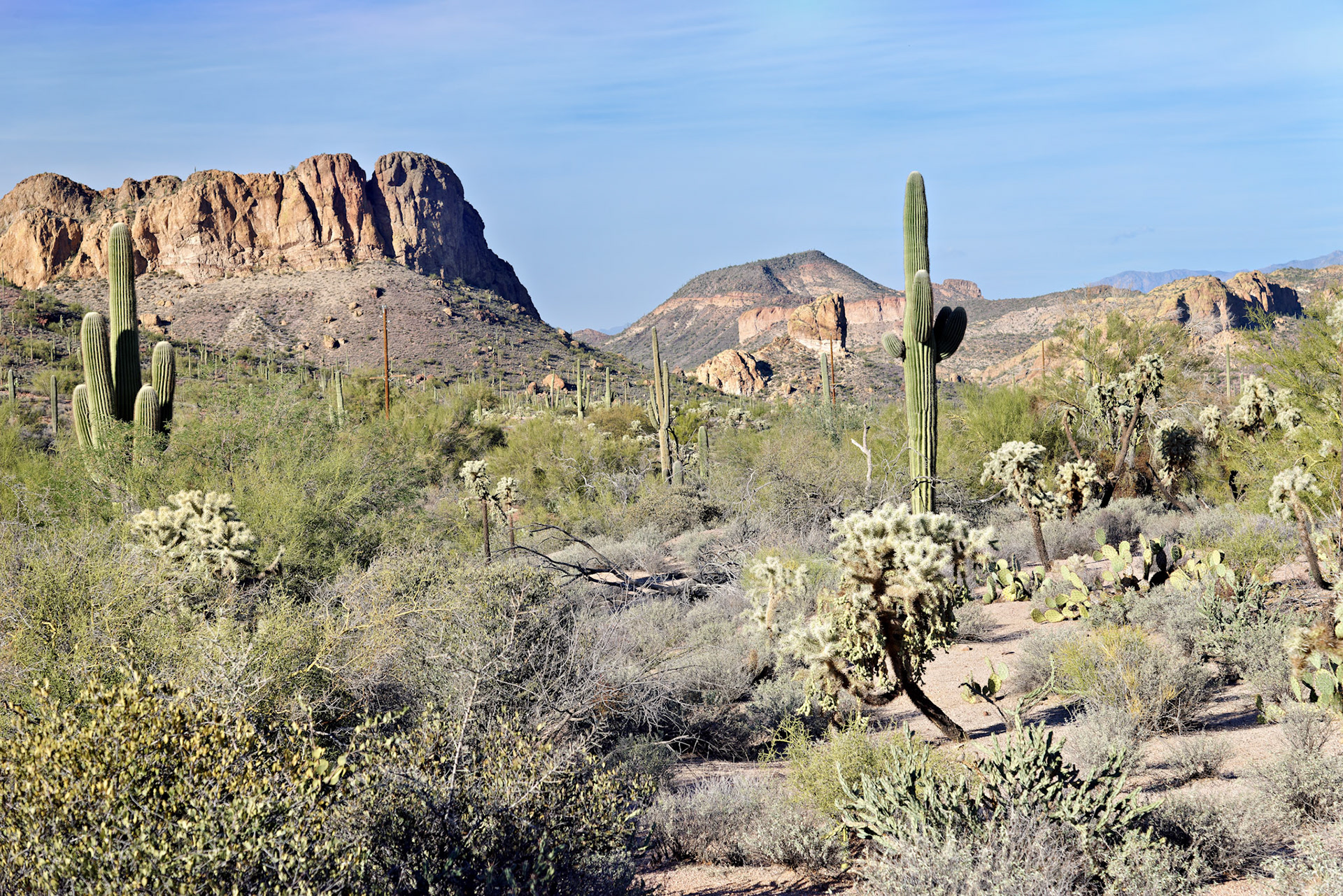 AZ_20121209_0356_PS.dng