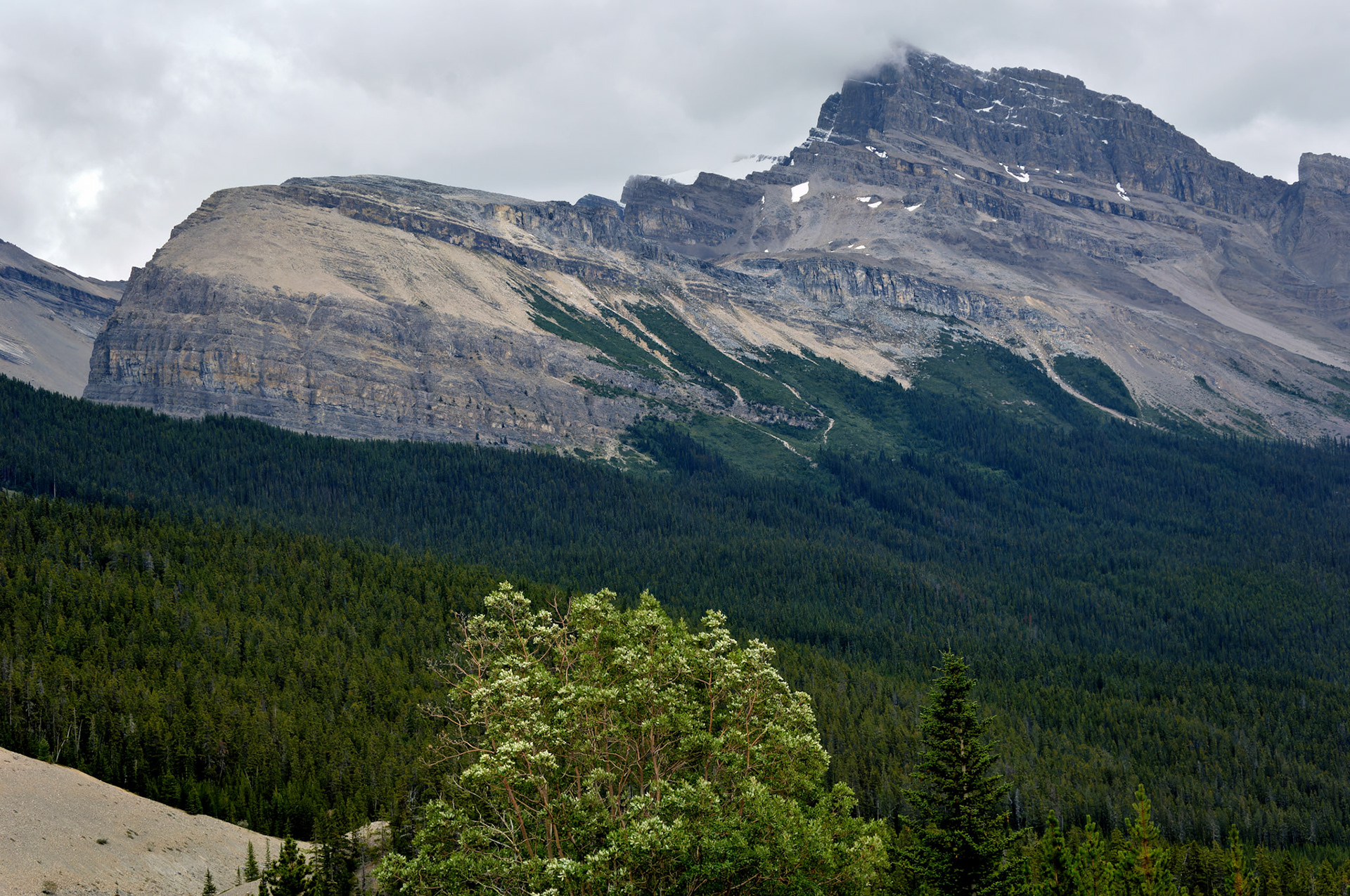 CN_20060802_0197_PS.dng
