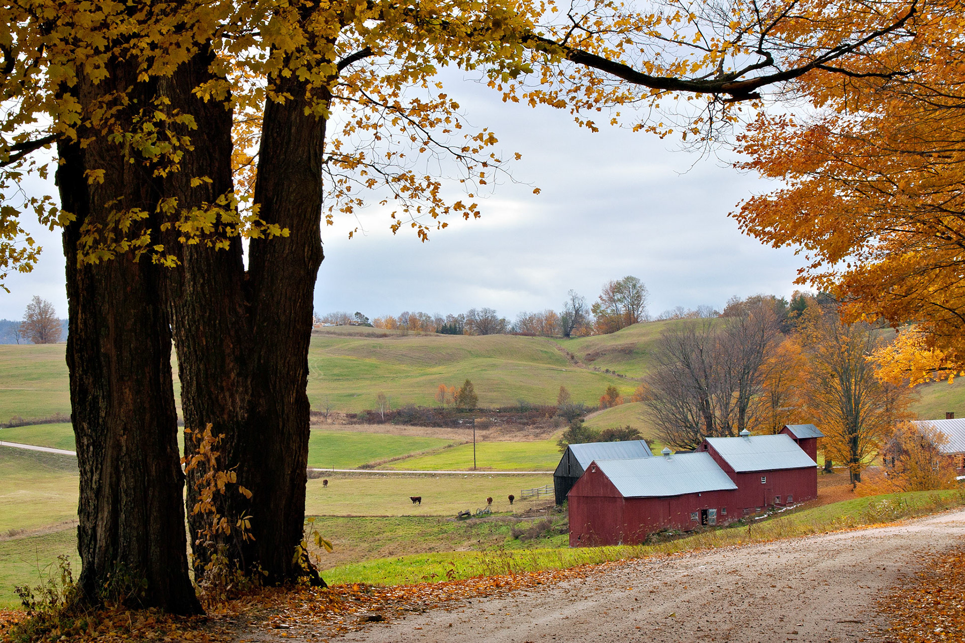 VT_20021028_0037_PS.dng