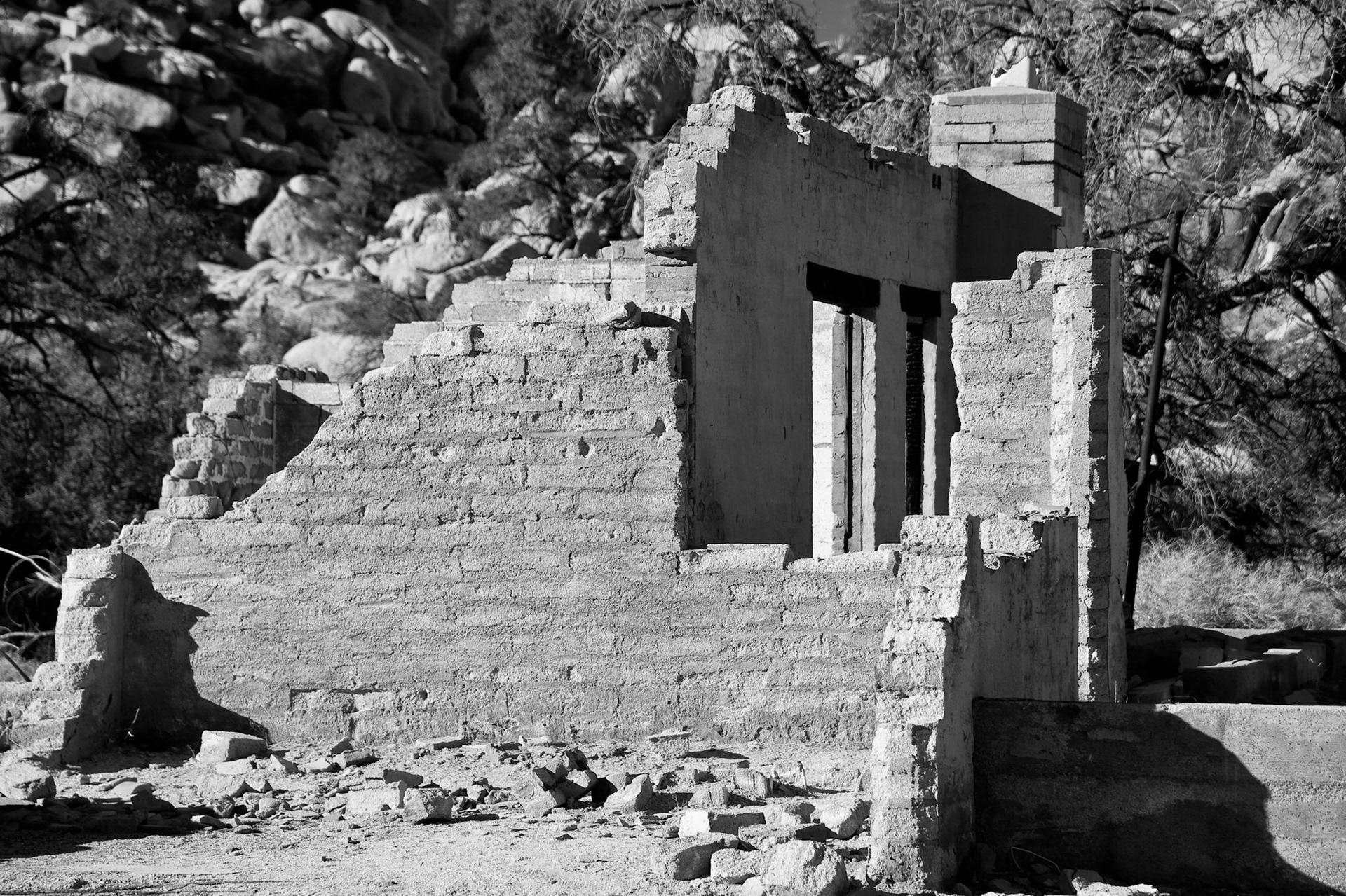 Black &amp; White 00110