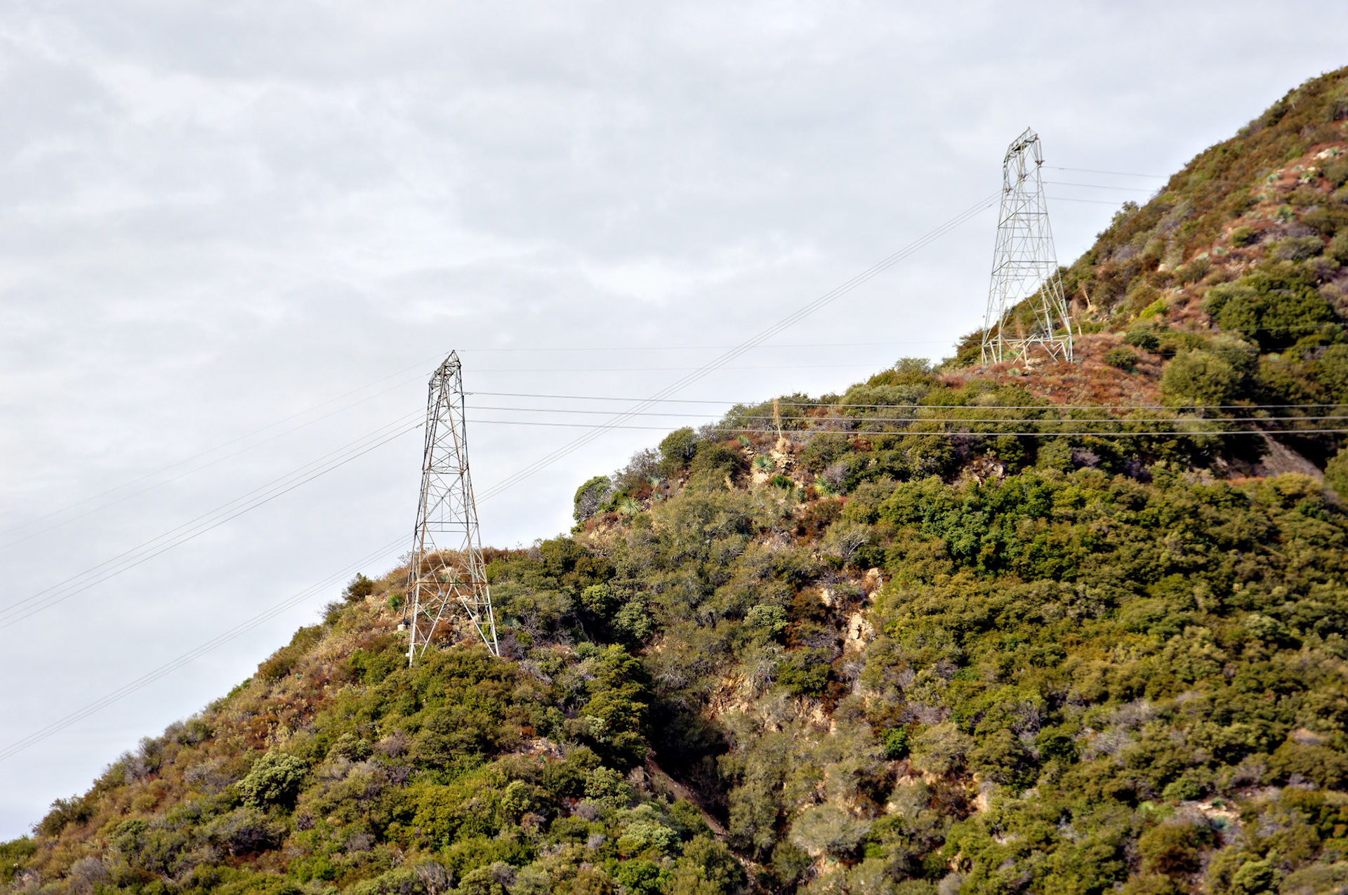 CA_LA_20051220_0240_PS.dng