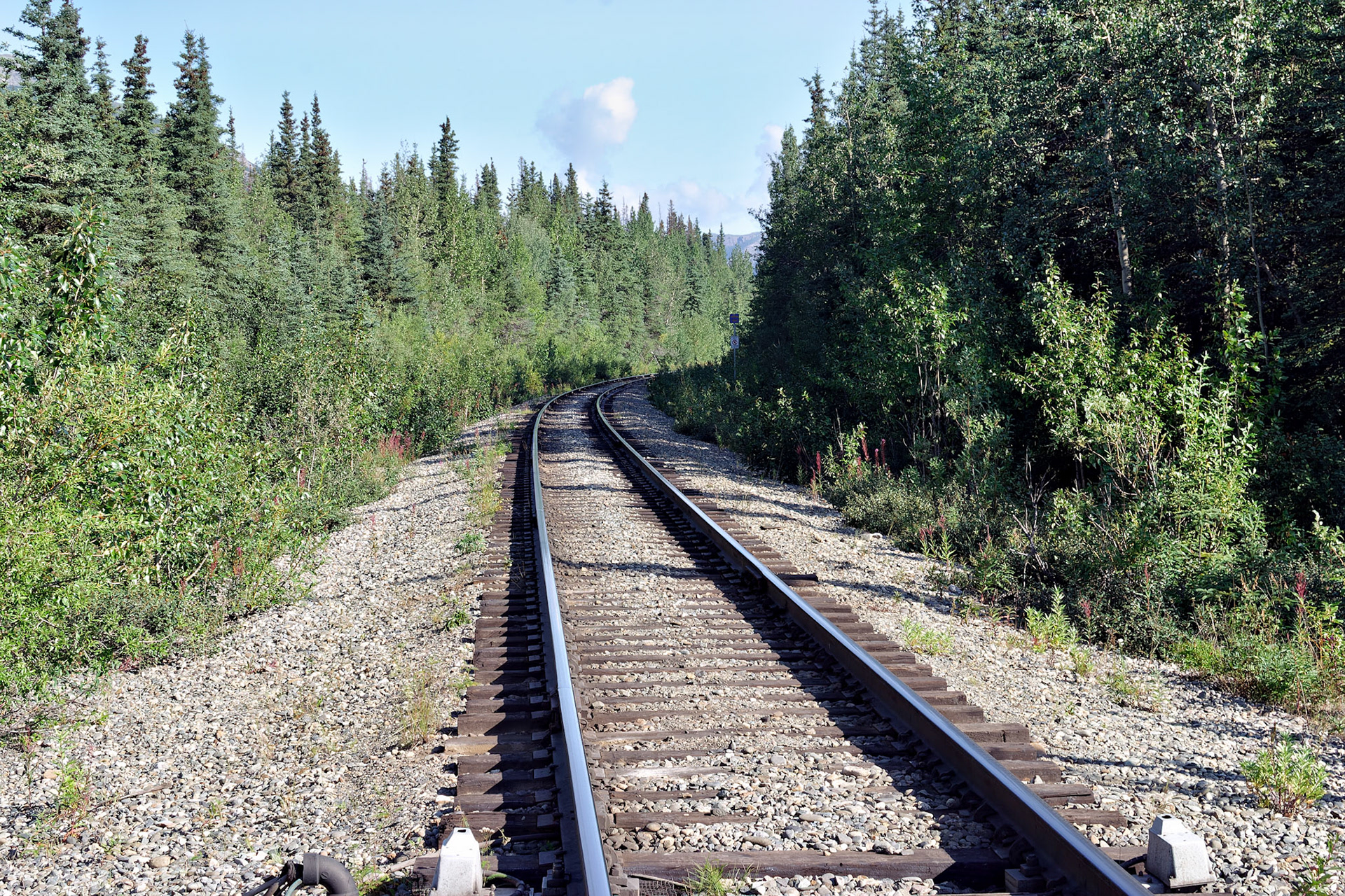 AK_20030808_0906_PS.dng