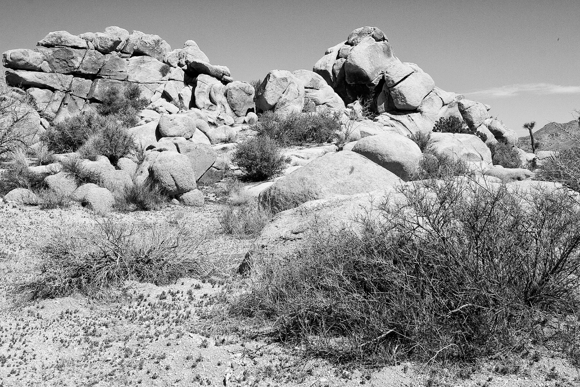 Black &amp; White 00063