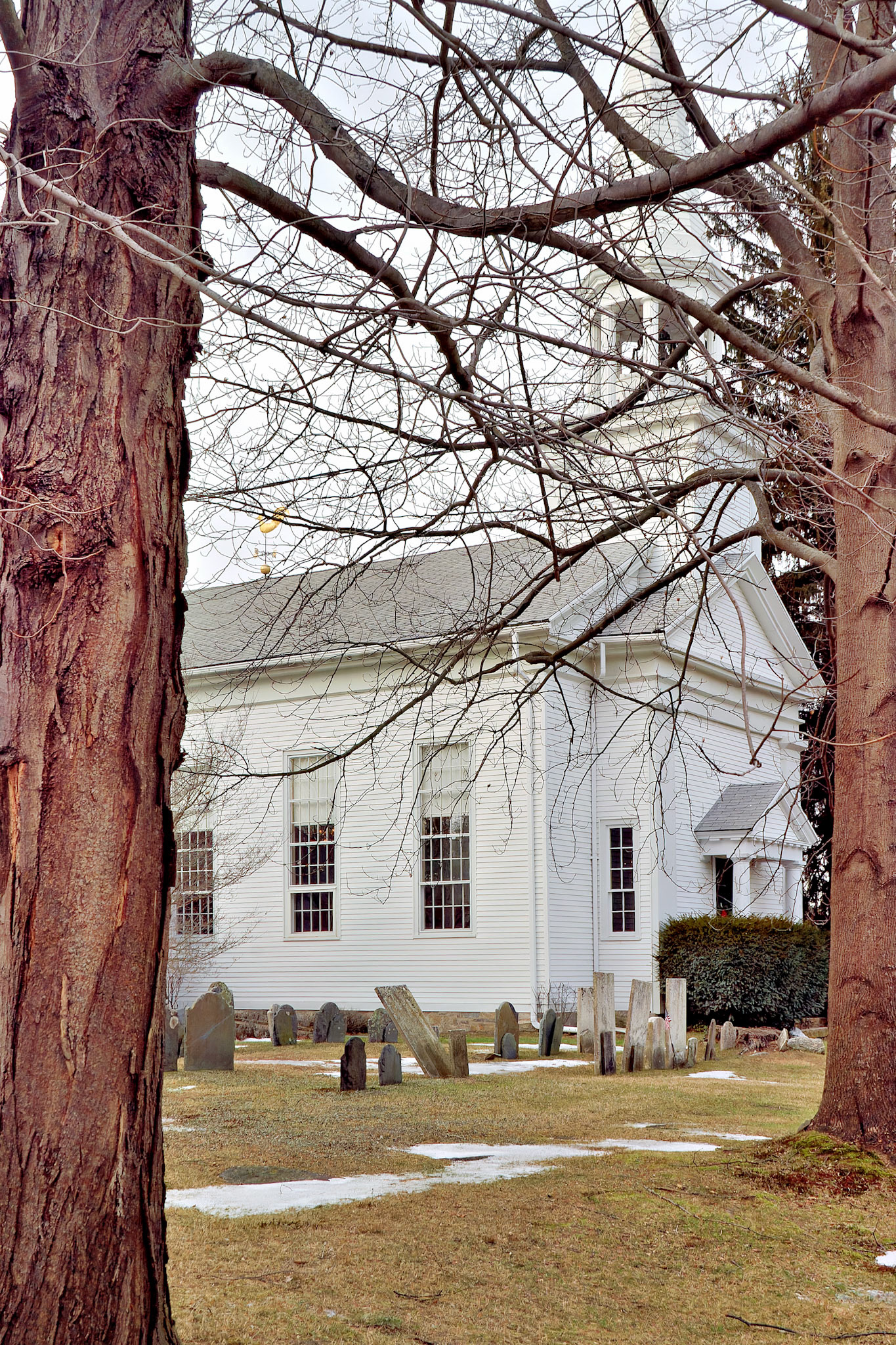 CT_20031221_0029_PS.dng