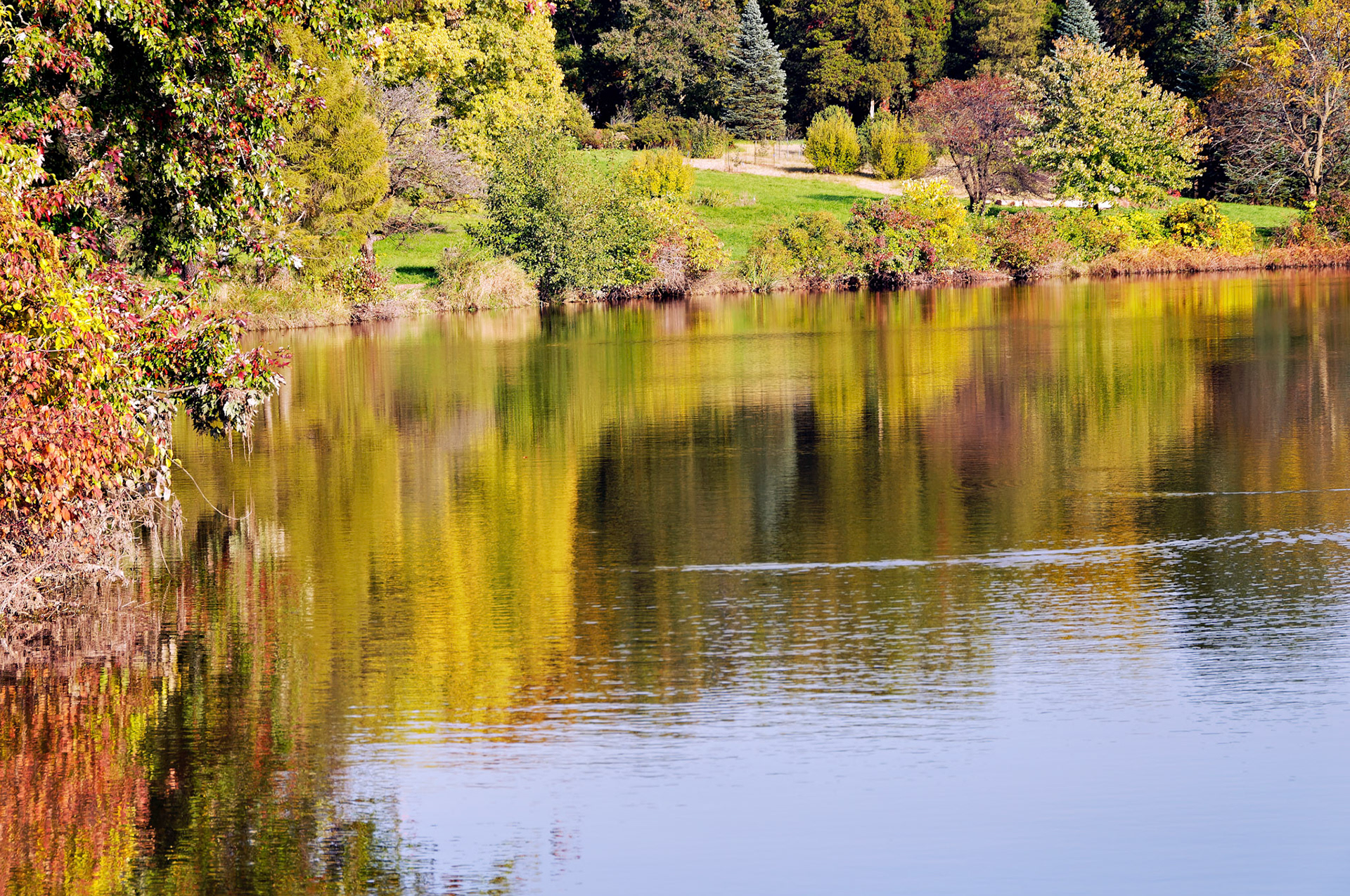 IL_Morton Arboretum_20081011_0310_PS.tif