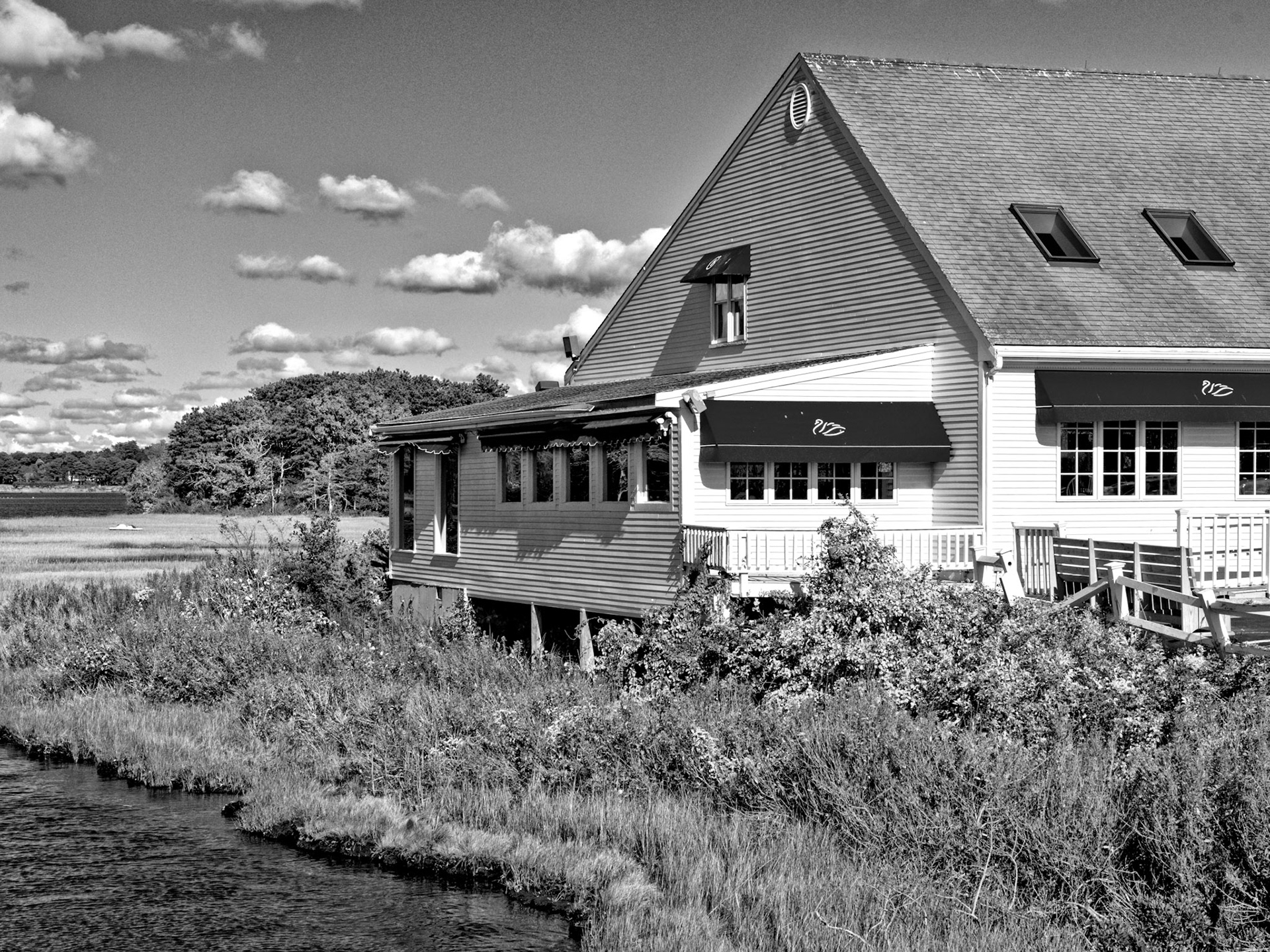 Black &amp; White 00006