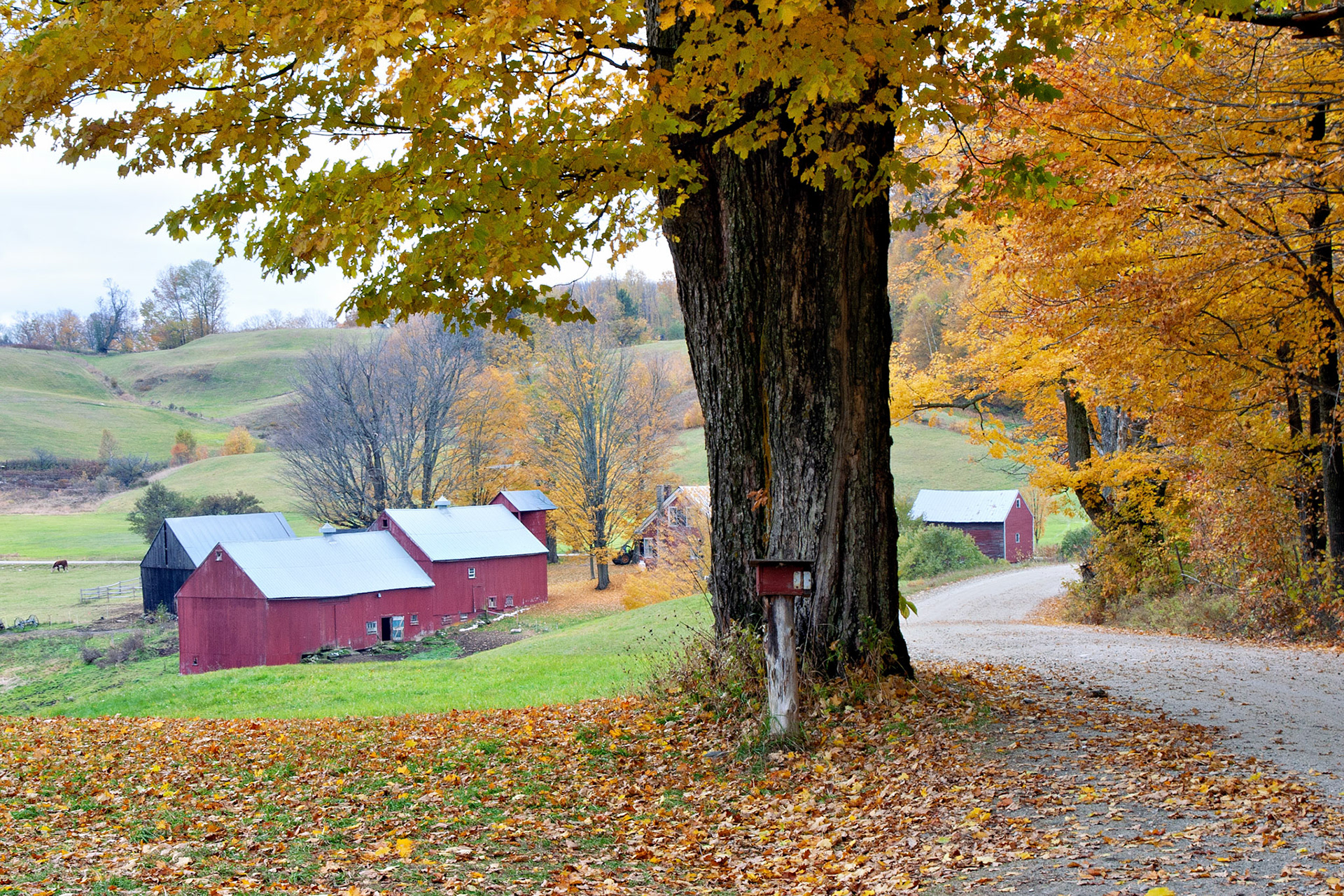 VT_20021028_0043_PS.dng