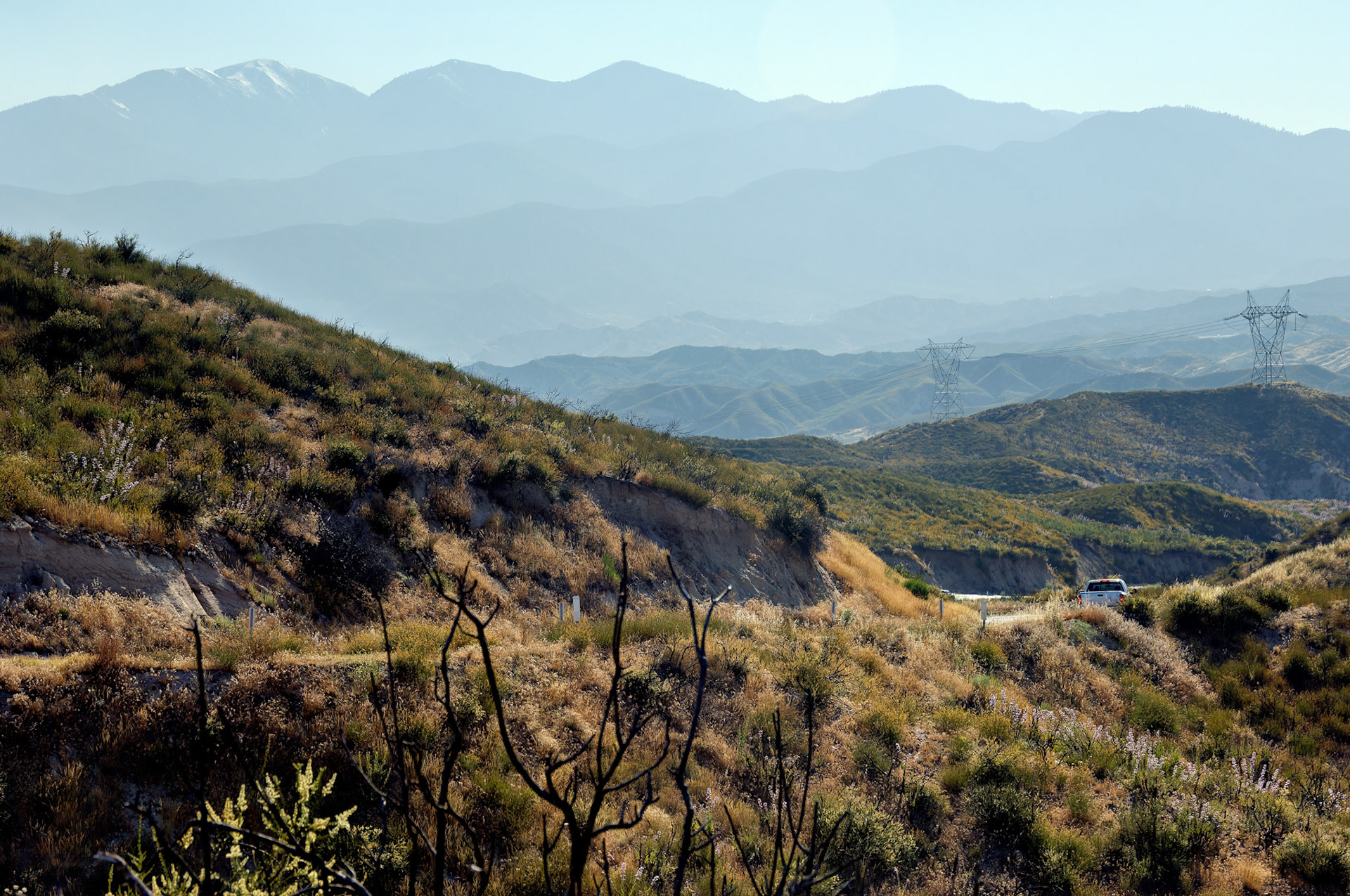 CA_20050613_0056_PS.dng