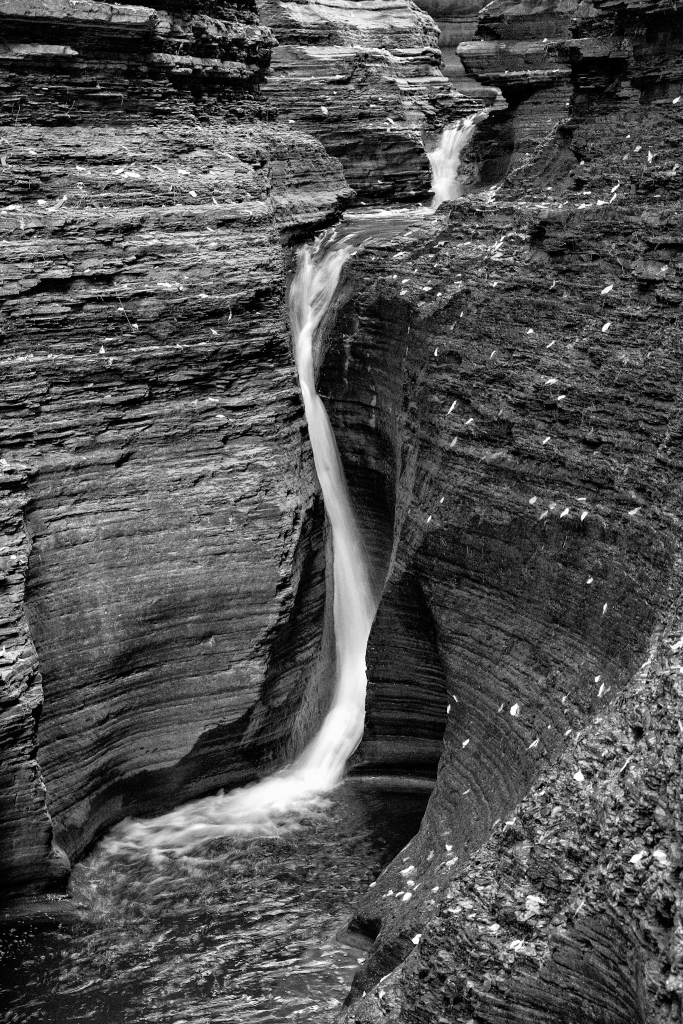 Black &amp; White 00185