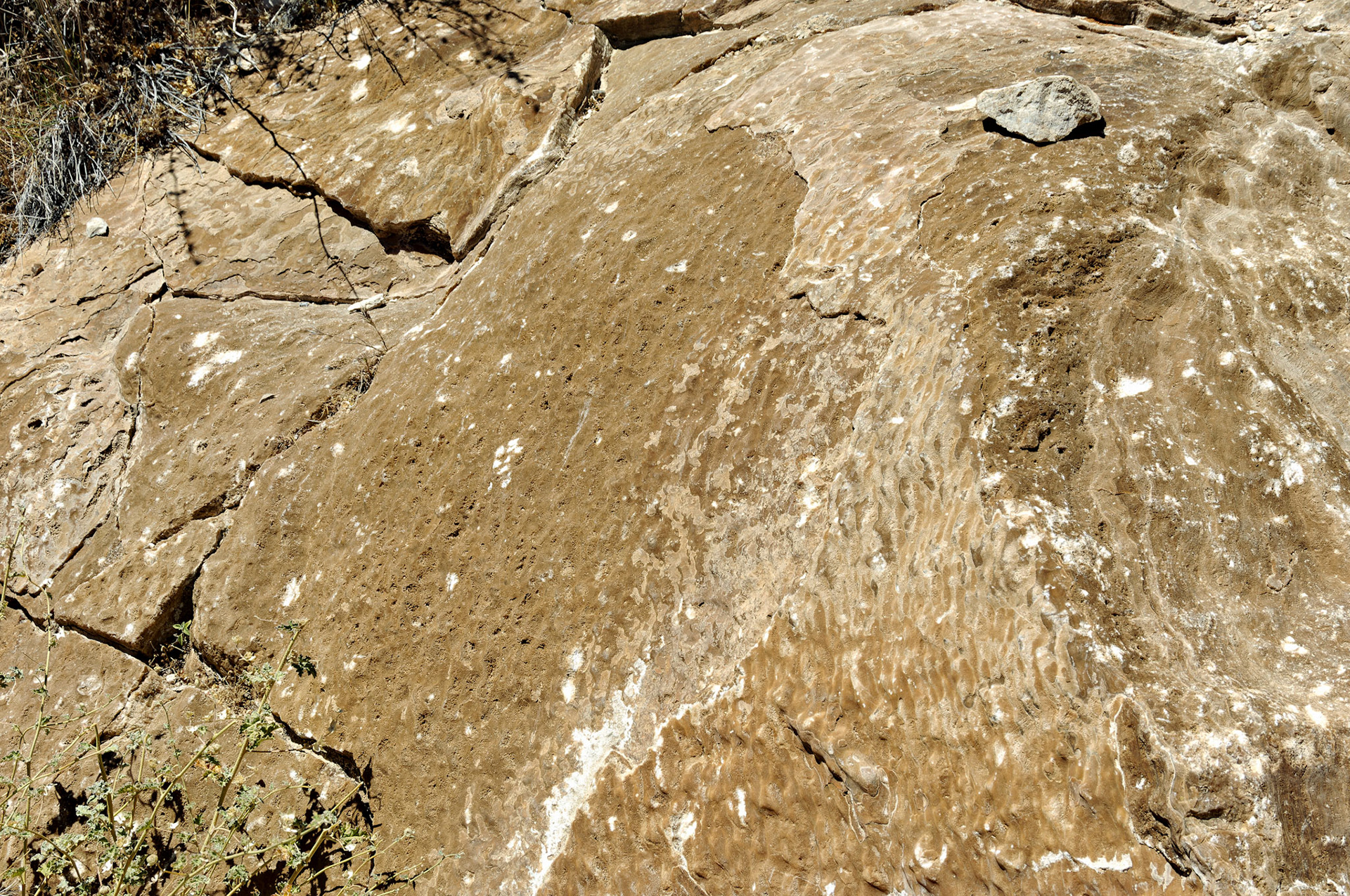 CA_20050614_0080_PS.dng