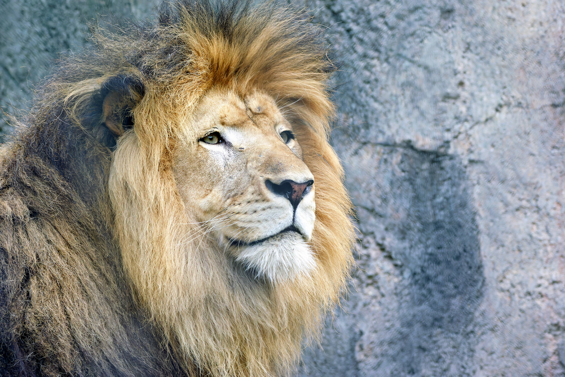 Wildlife_20140718_0486_PS.dng