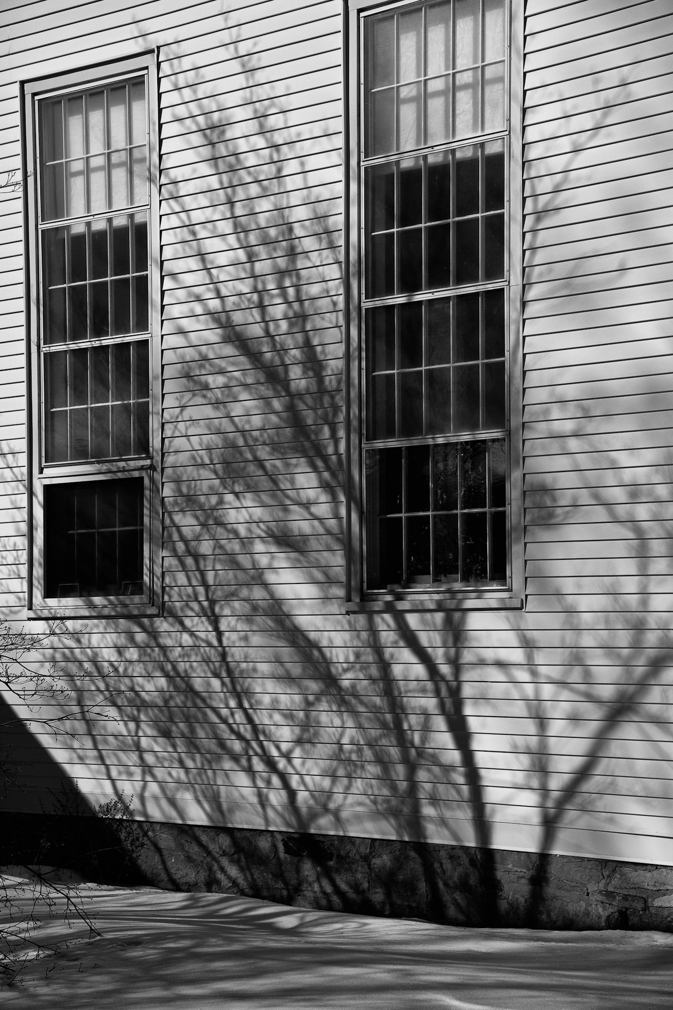 Black &amp; White Photos