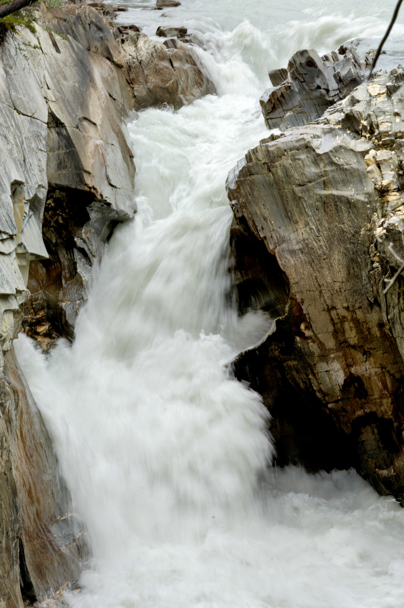 CN_20060802_0566_PS.dng