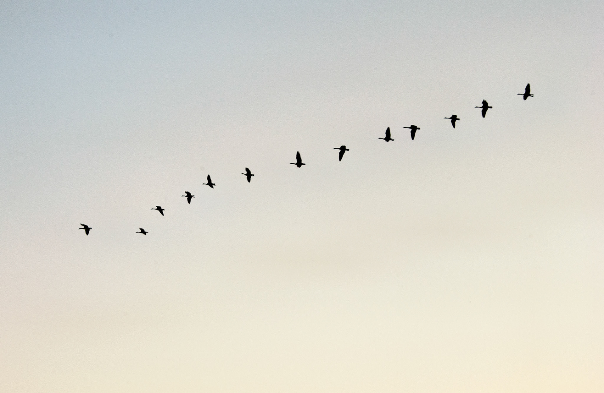 Wildlife_20020907_0027_PS.dng