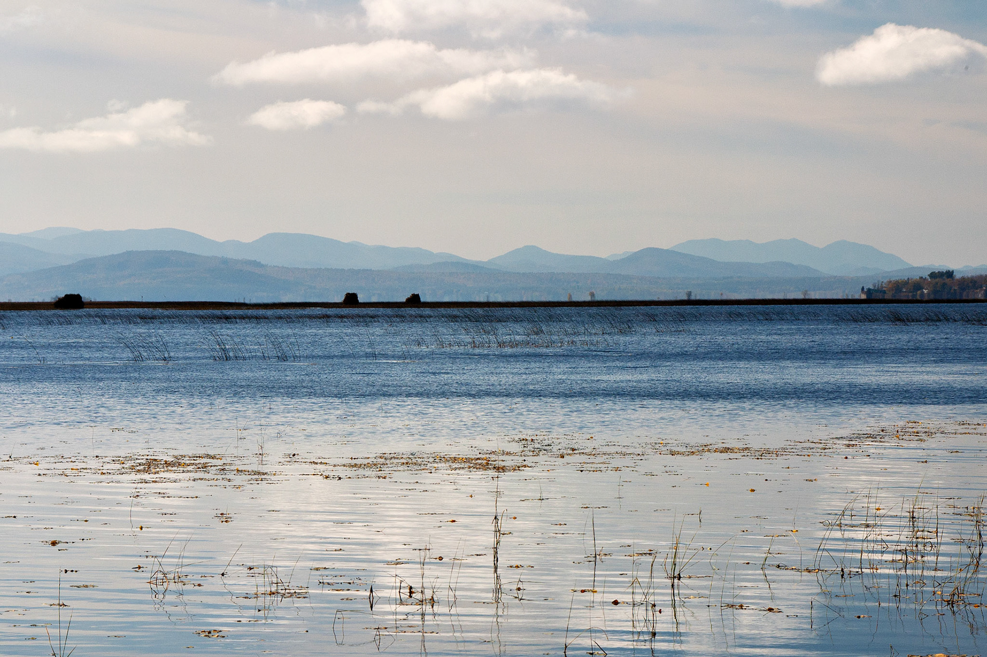 VT_20021030_0081_PS.dng