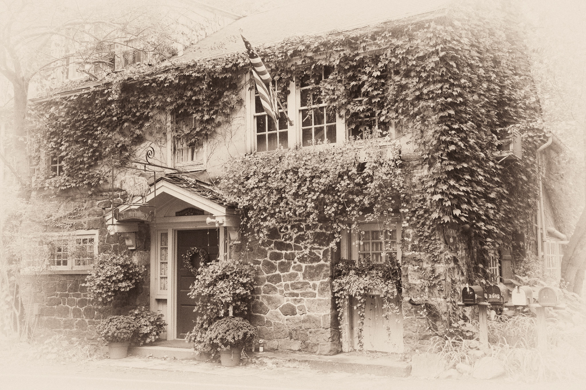 Black &amp; White 00123