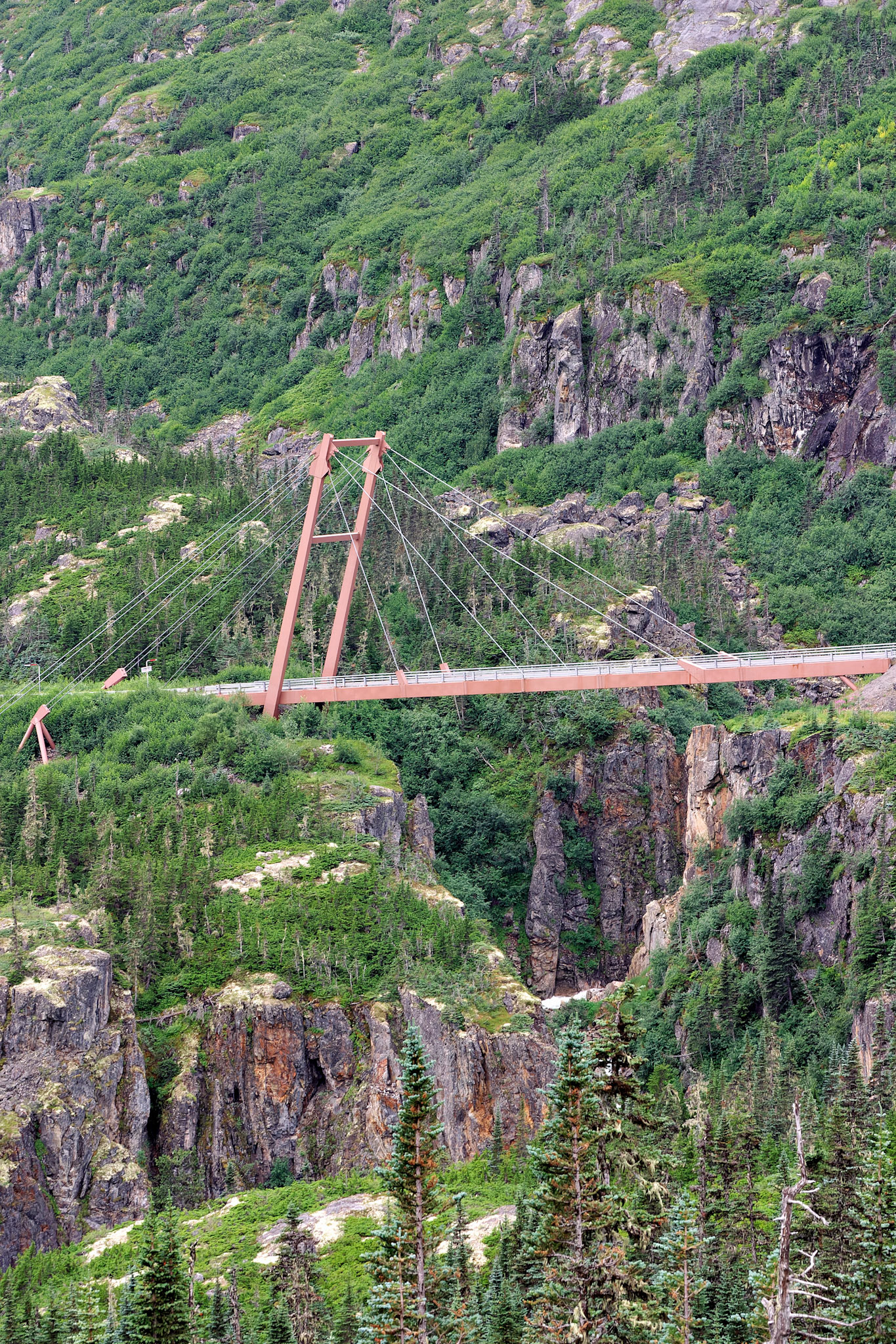 AK_20030801_0262_PS.dng