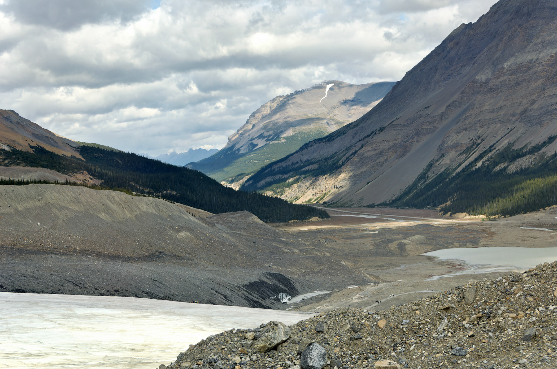 CN_20060802_0185_PS.dng