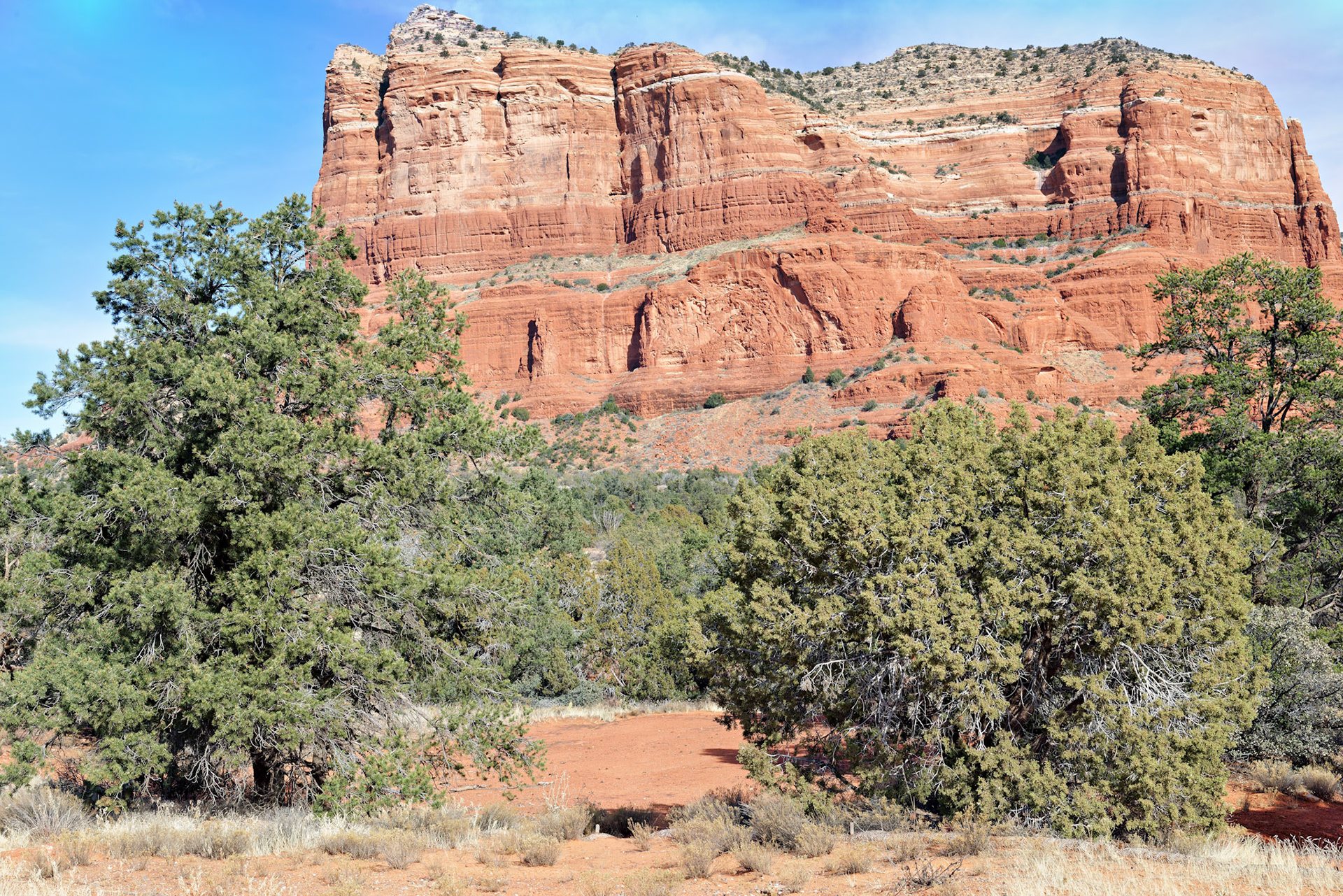 AZ_20121211_0585_PS.dng