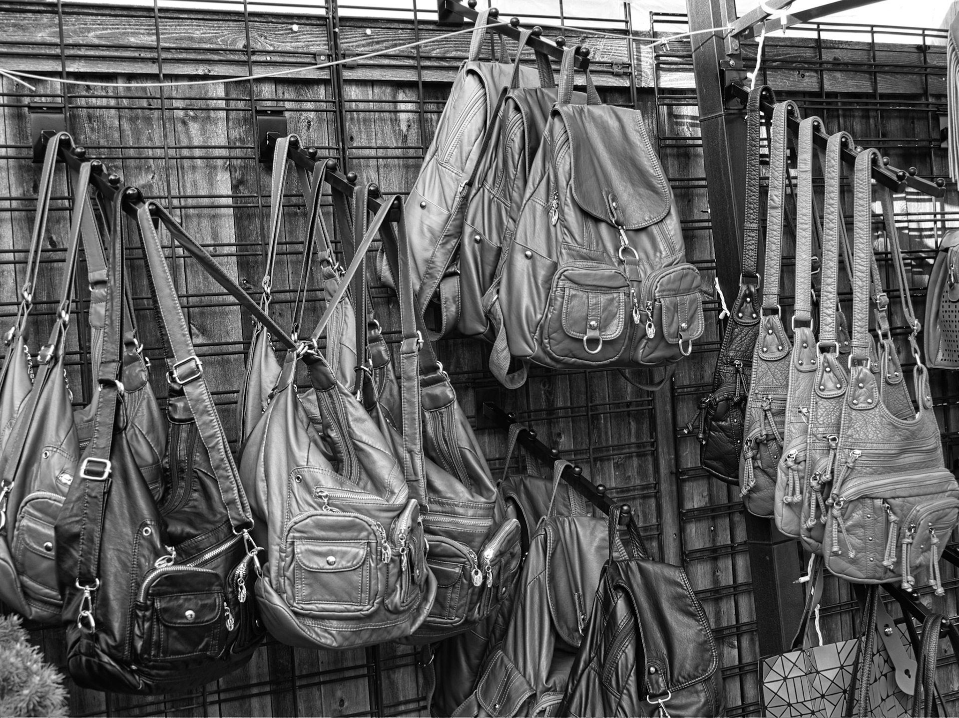 Black &amp; White 00314