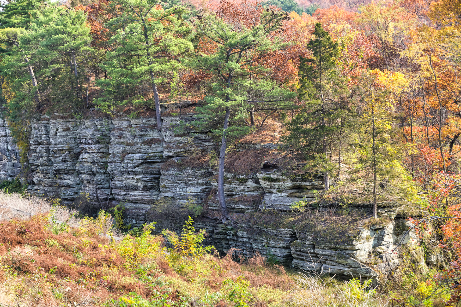 IL Starved Rock 00036