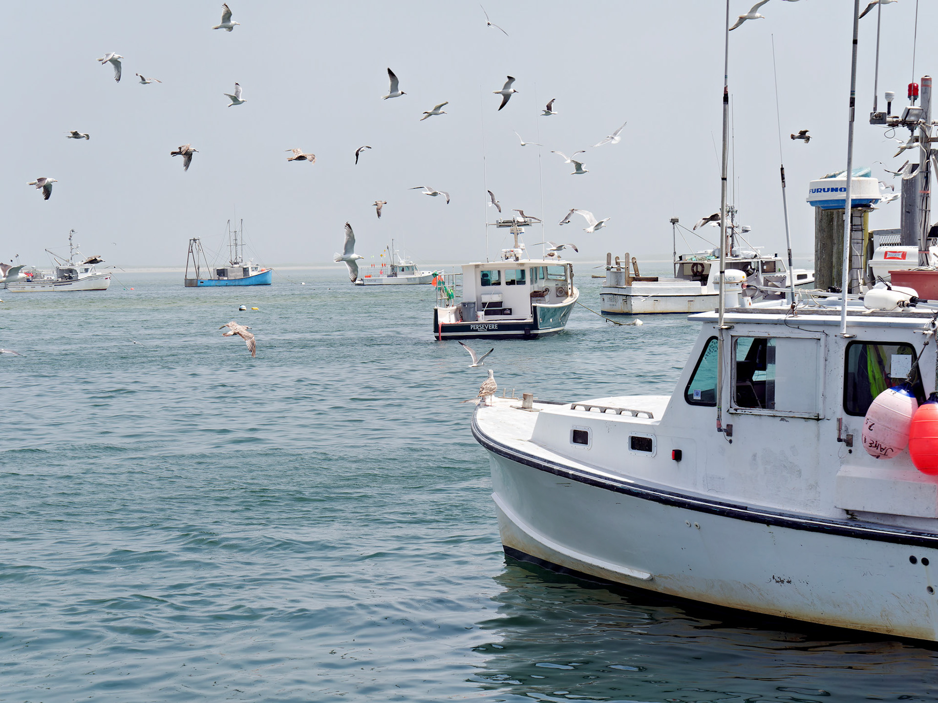 MA_CapeCodChattham_20180725_0008_PS.dng