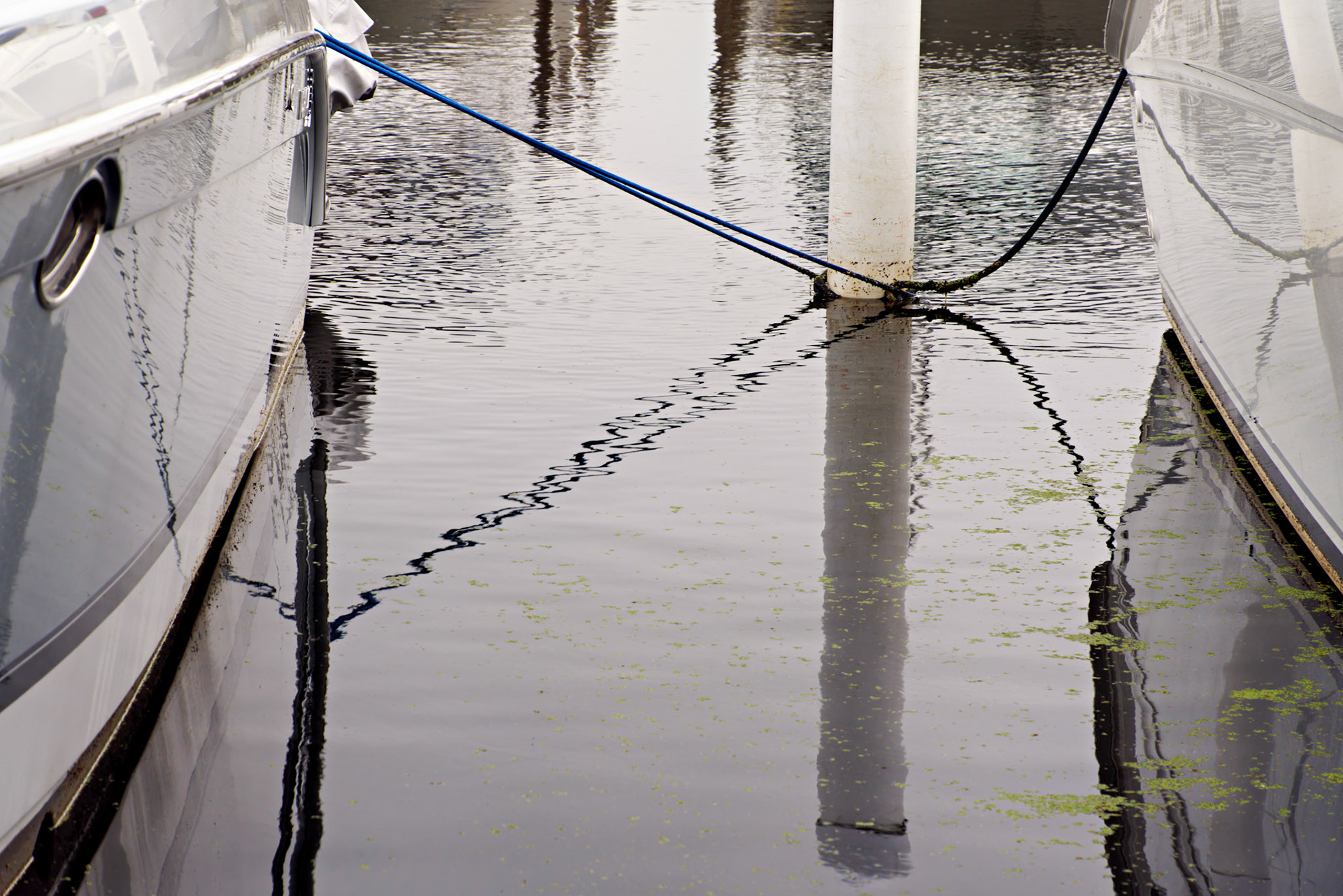 MI_New BuffaloArea_20190906_0265_PS.tif