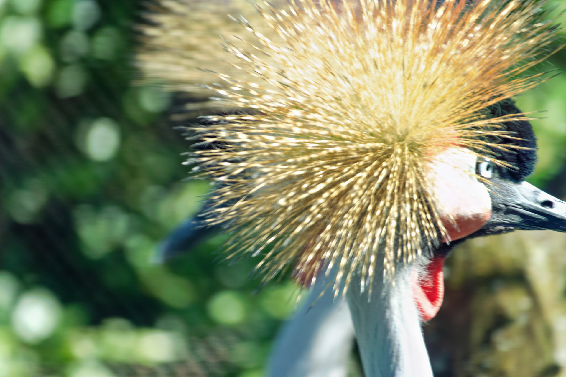 IN_Indianapolis Zoo_20170608_0259_PS.dng