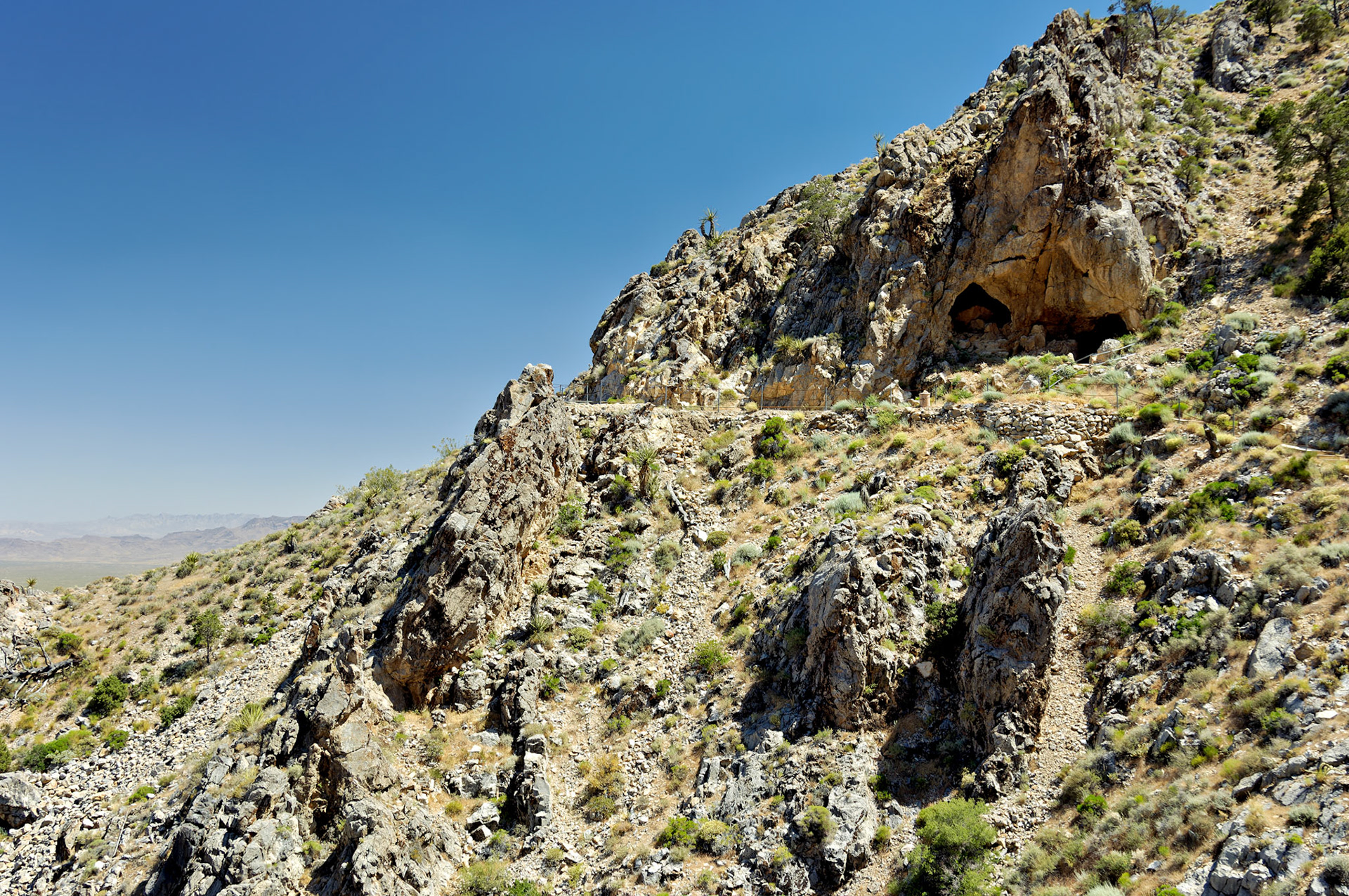 CA_20050614_0133_PS.dng