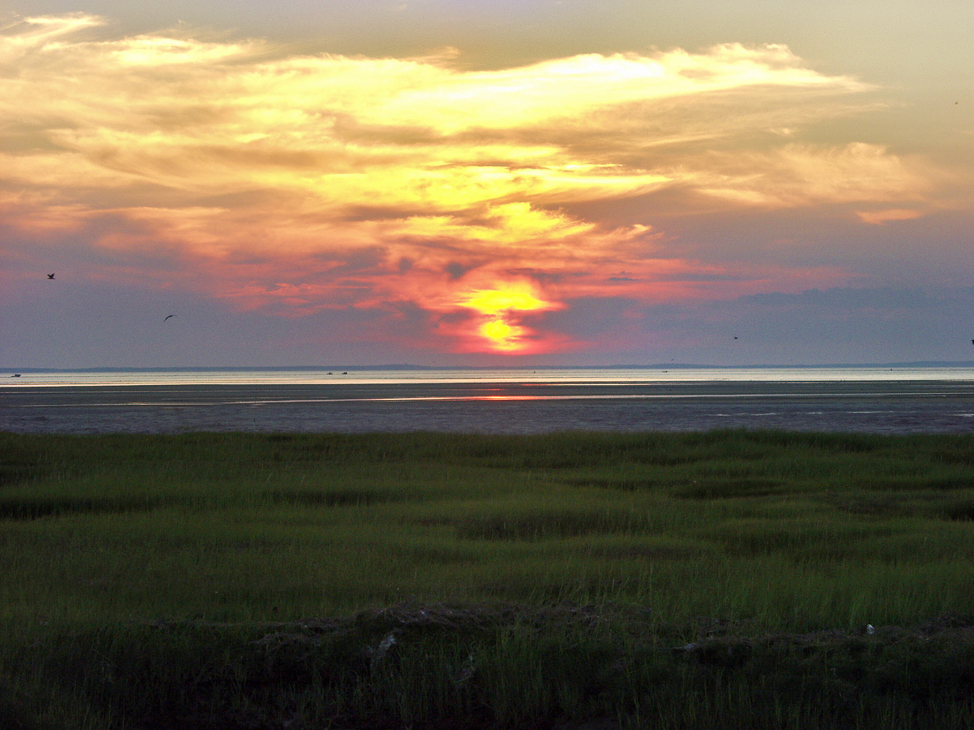 MA_CapeCodDennis_20071031_0003_PS.dng