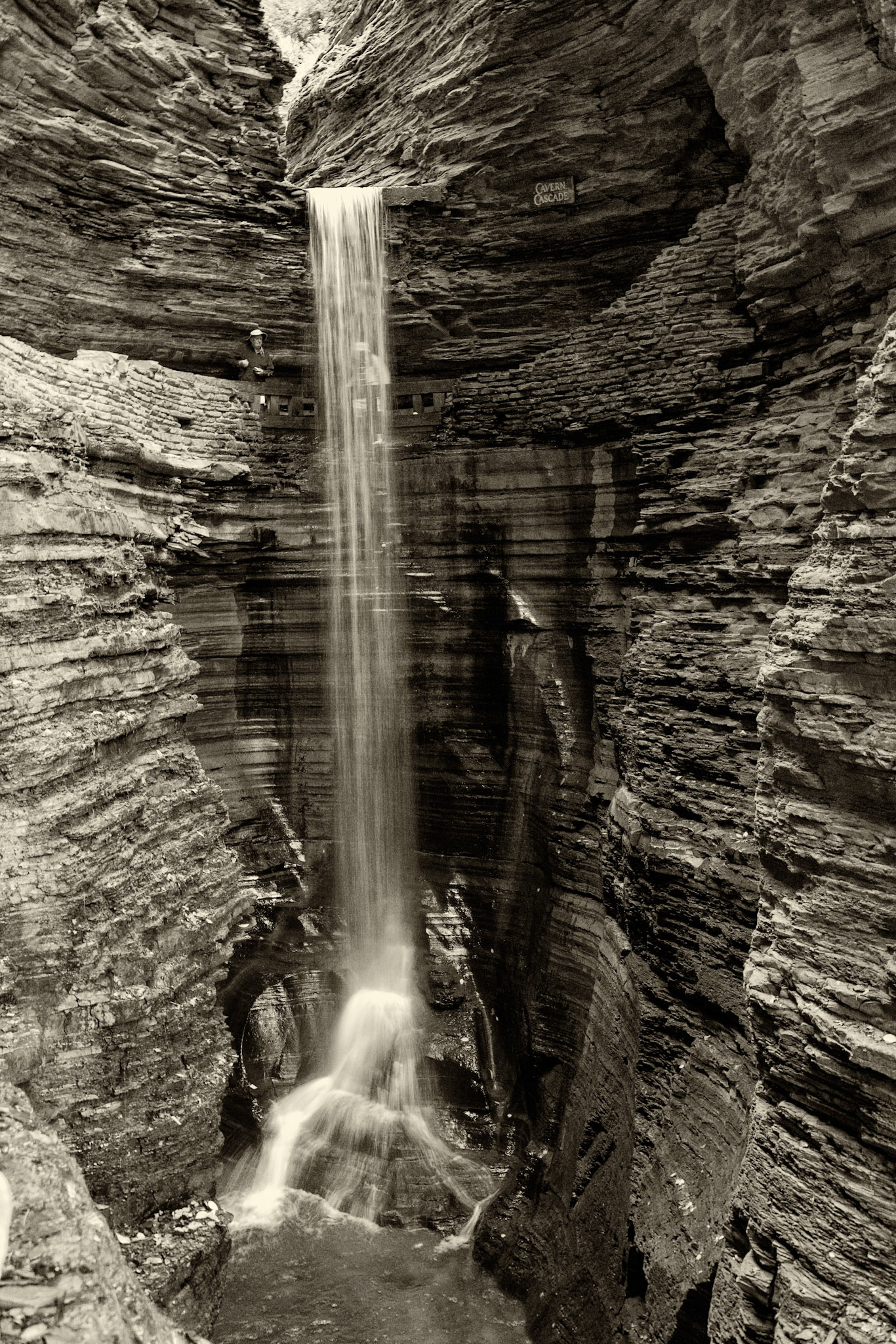 Black &amp; White 00220