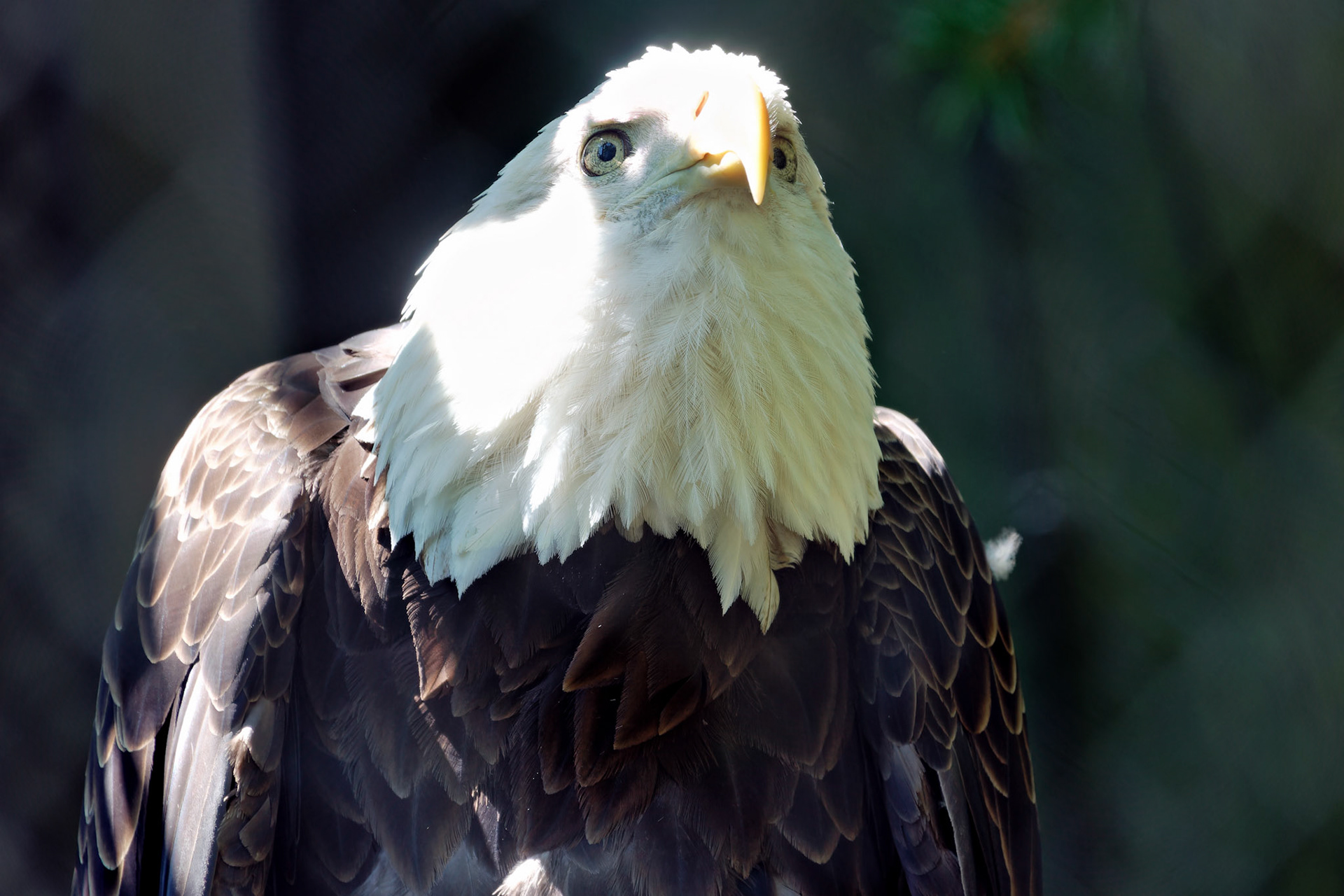 IN_Indianapolis Zoo_20170608_0235_PS.tif