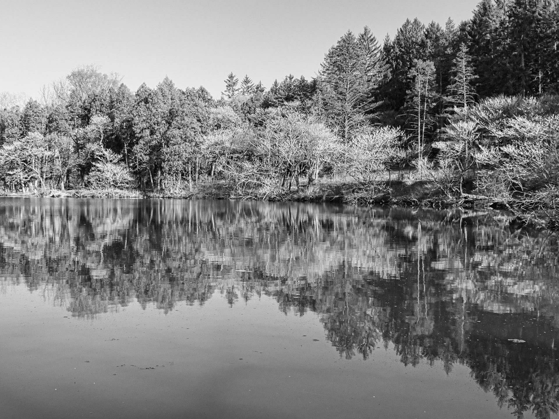 Black &amp; White 00268