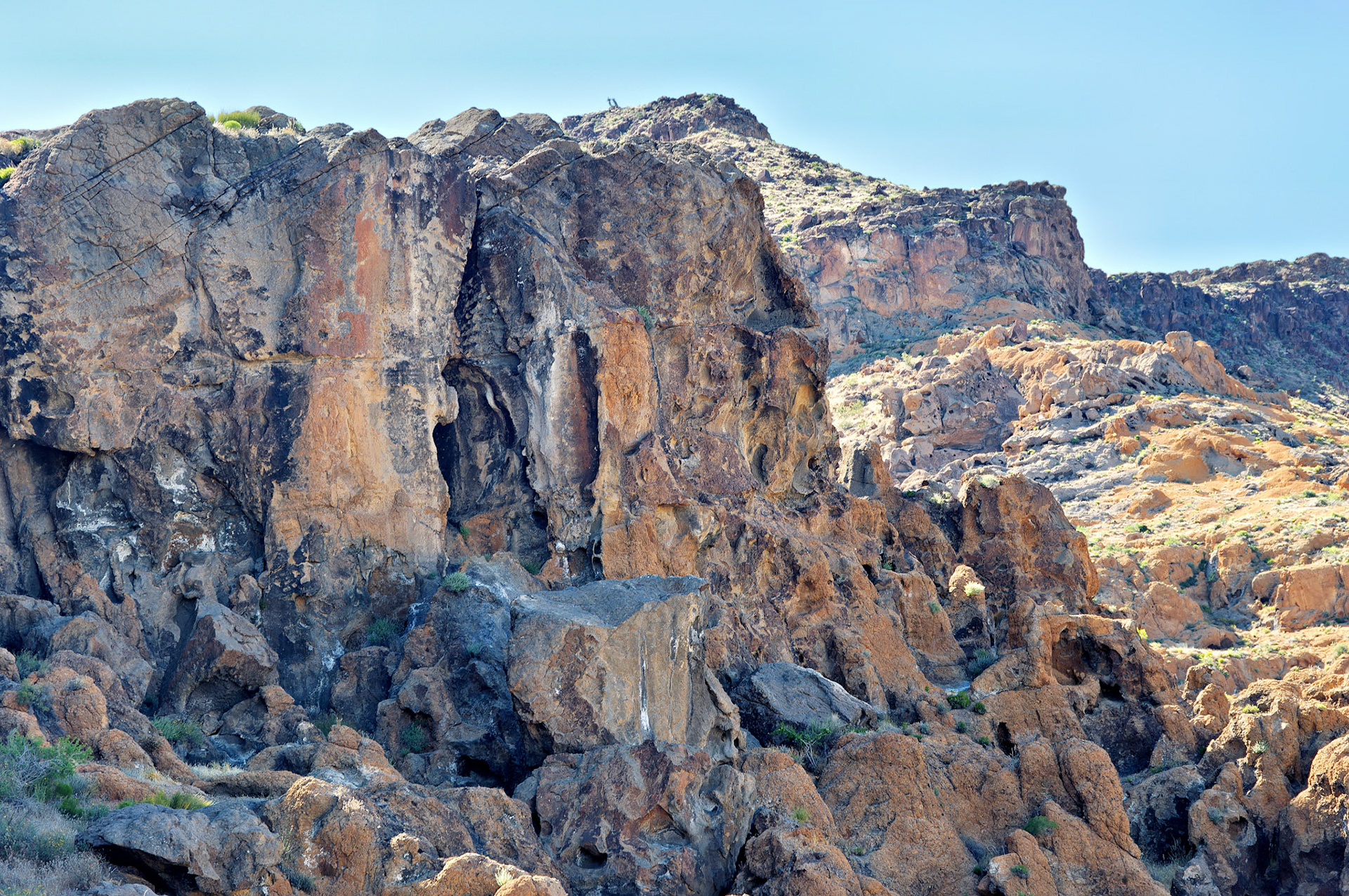 CA_20050614_0164_PS.dng