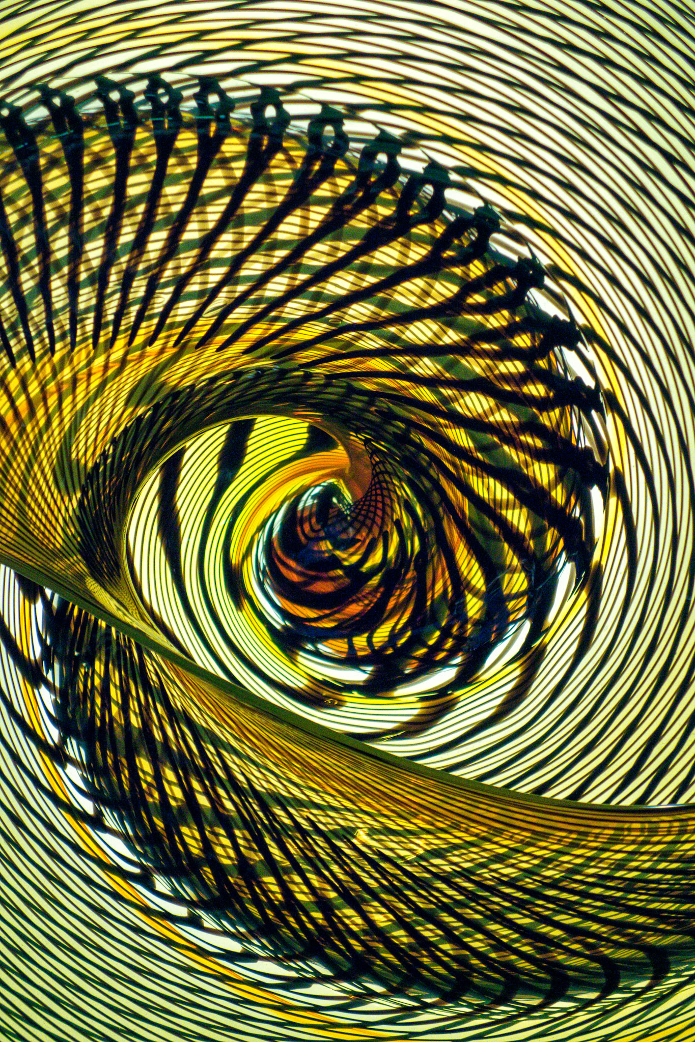 Artistic Photos 00052