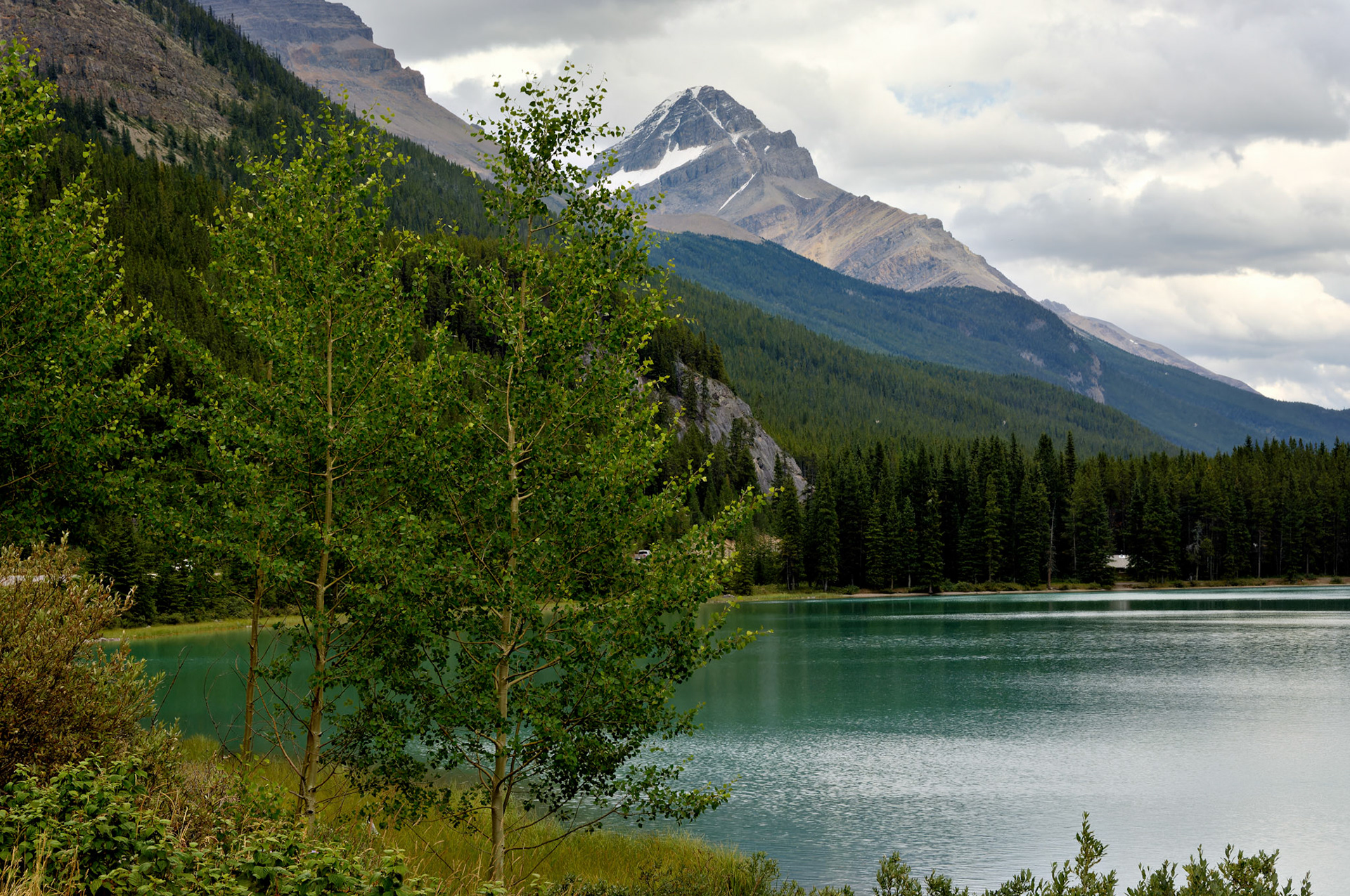 CN_20060802_0248_PS.dng