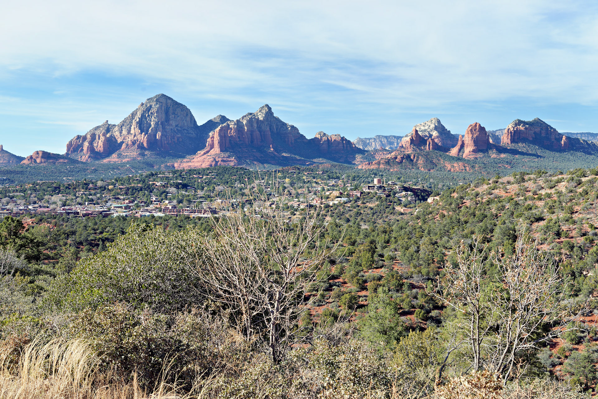AZ_20121211_0486_PS.dng