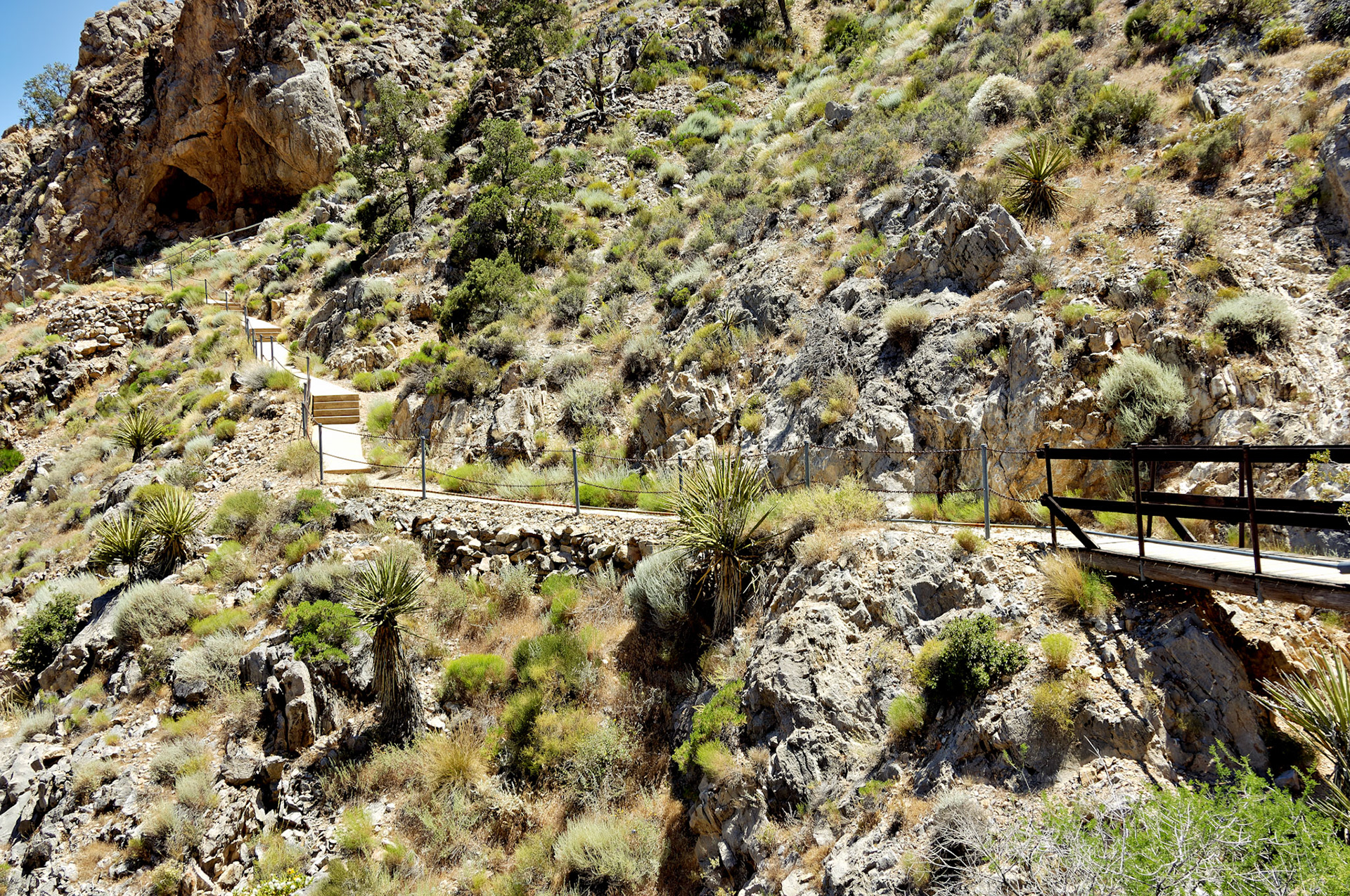 CA_20050614_0086_PS.dng