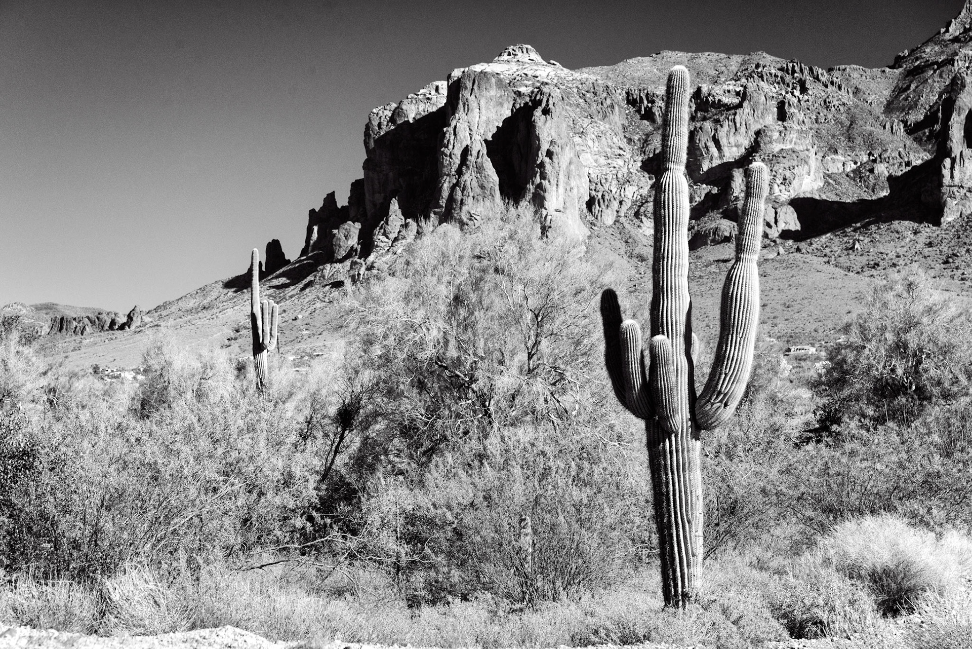 Black &amp; White 00186