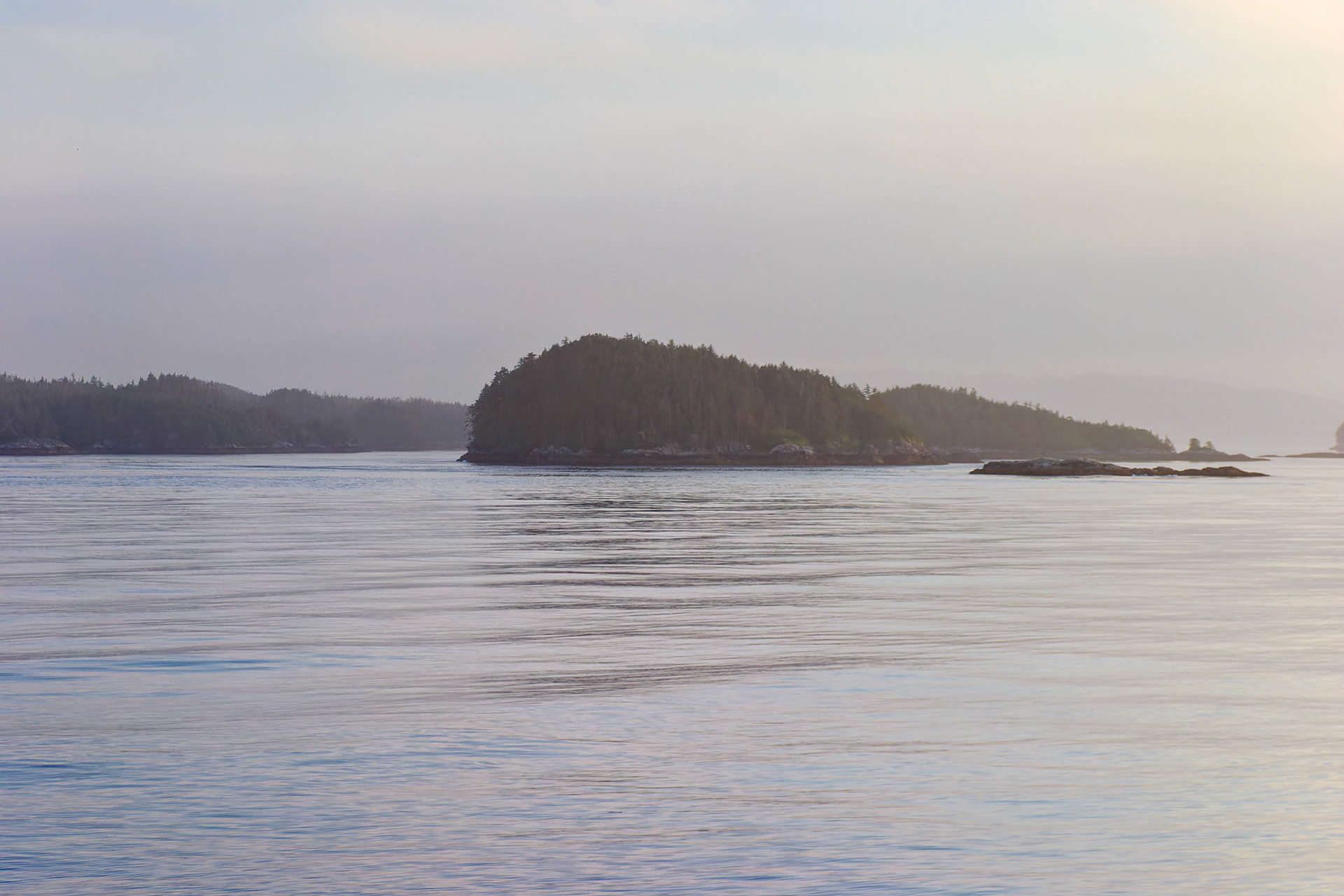 AK_20030729_0081_PS.dng