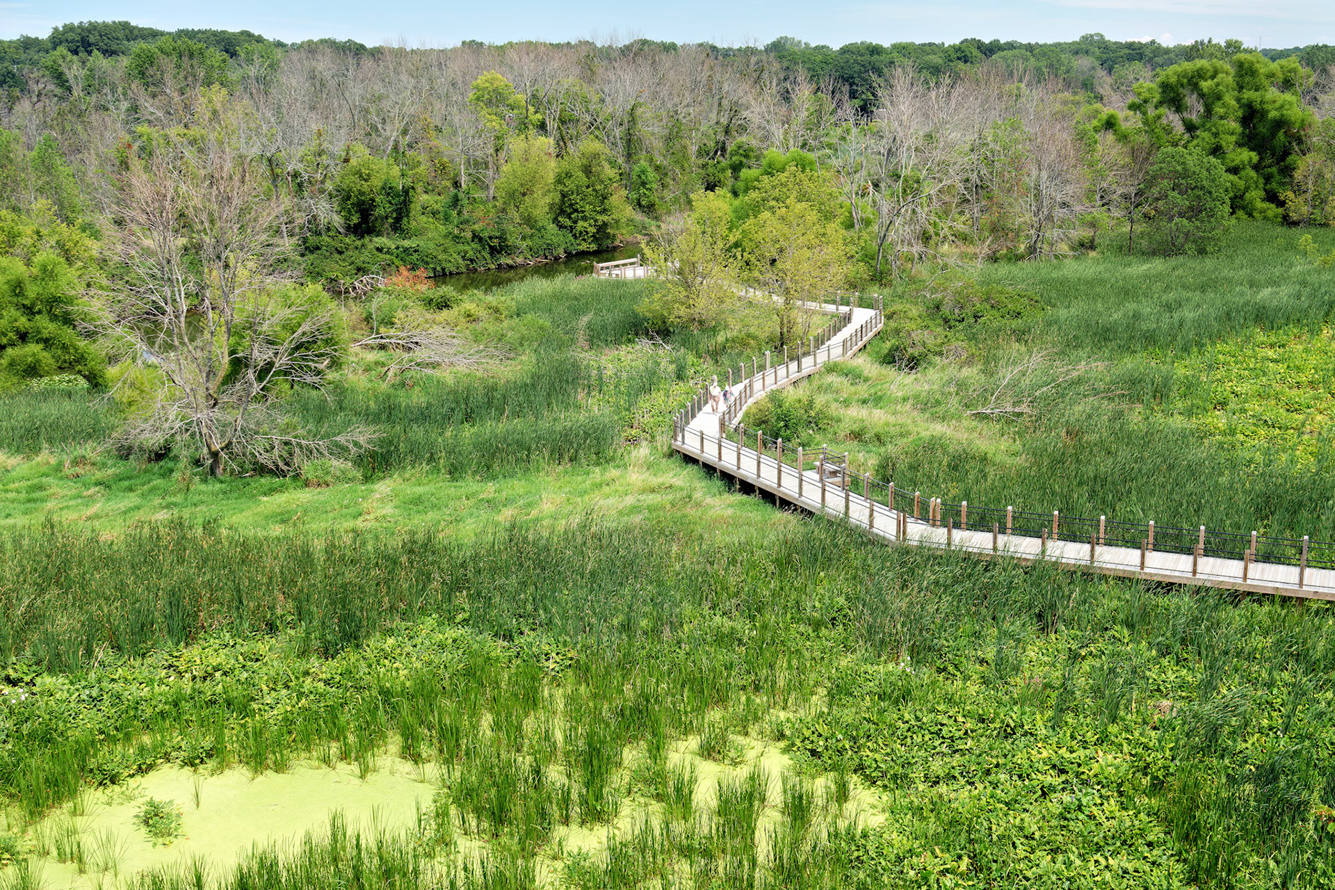 MI_New BuffaloArea_20160809_0199_PS.tif