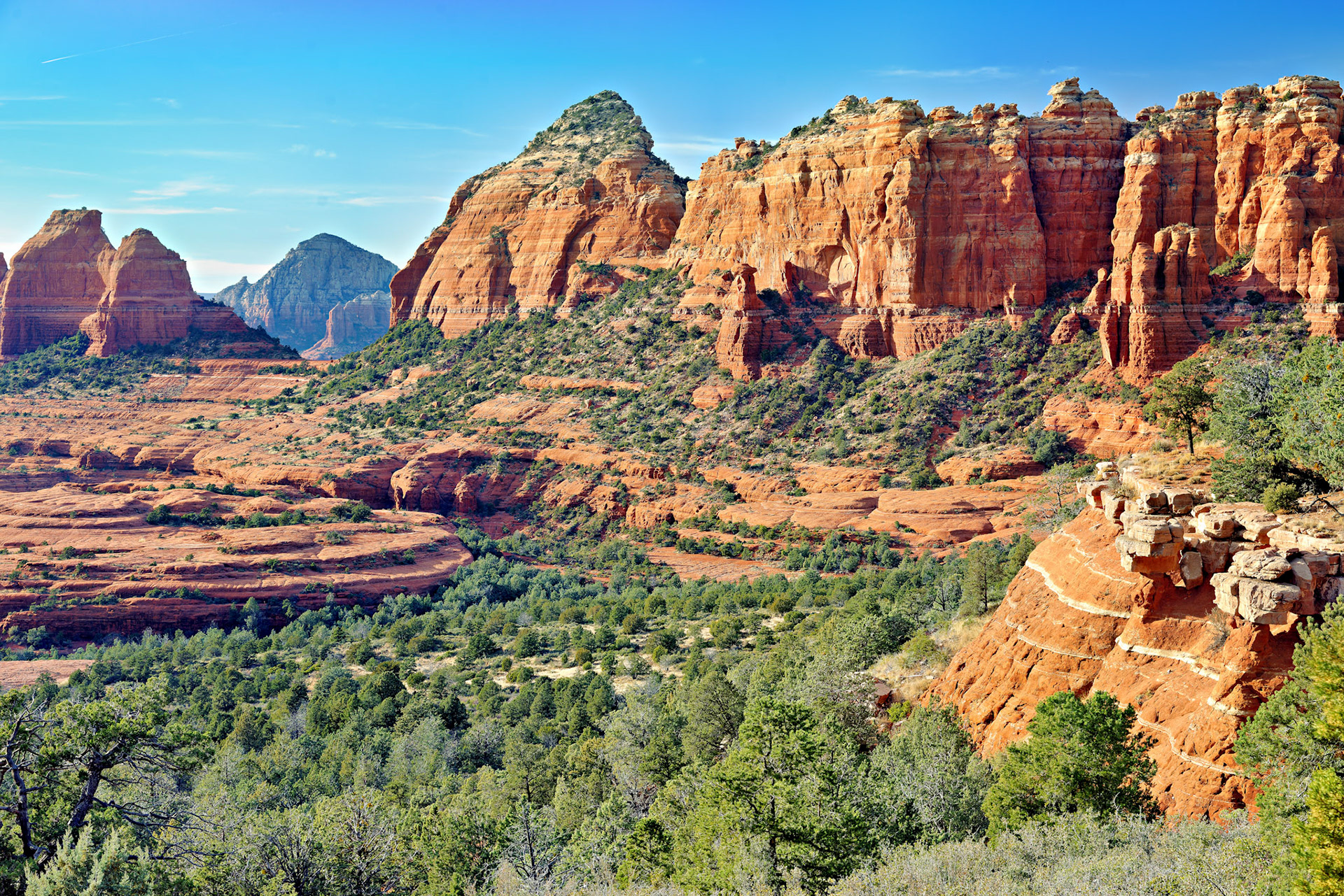 AZ_20121211_0563_PS.dng