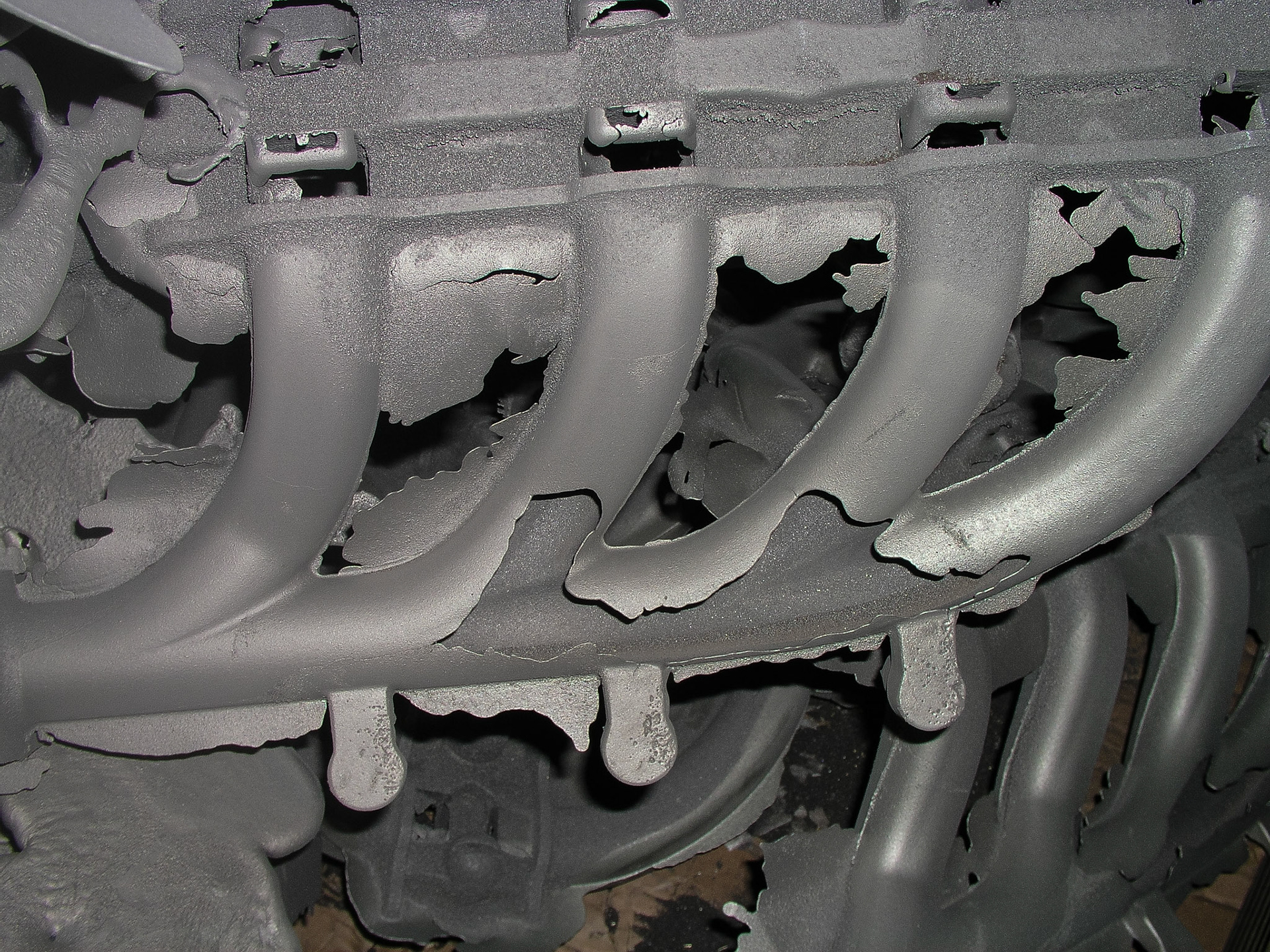 Black &amp; White 00205